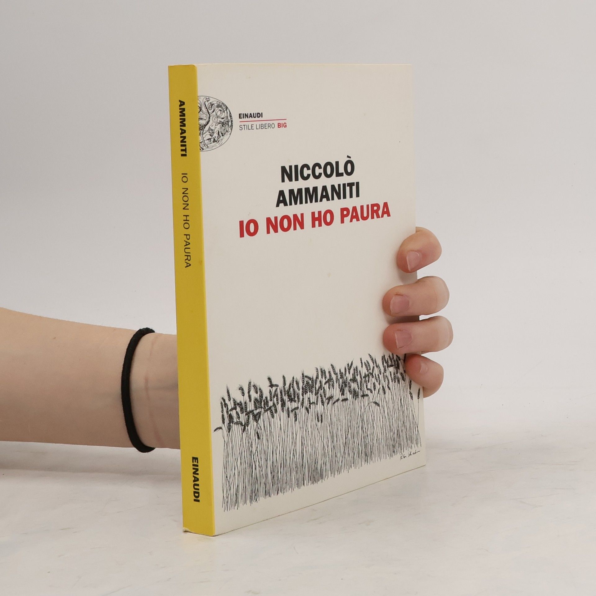 Niccolò Ammaniti Io non ho paura