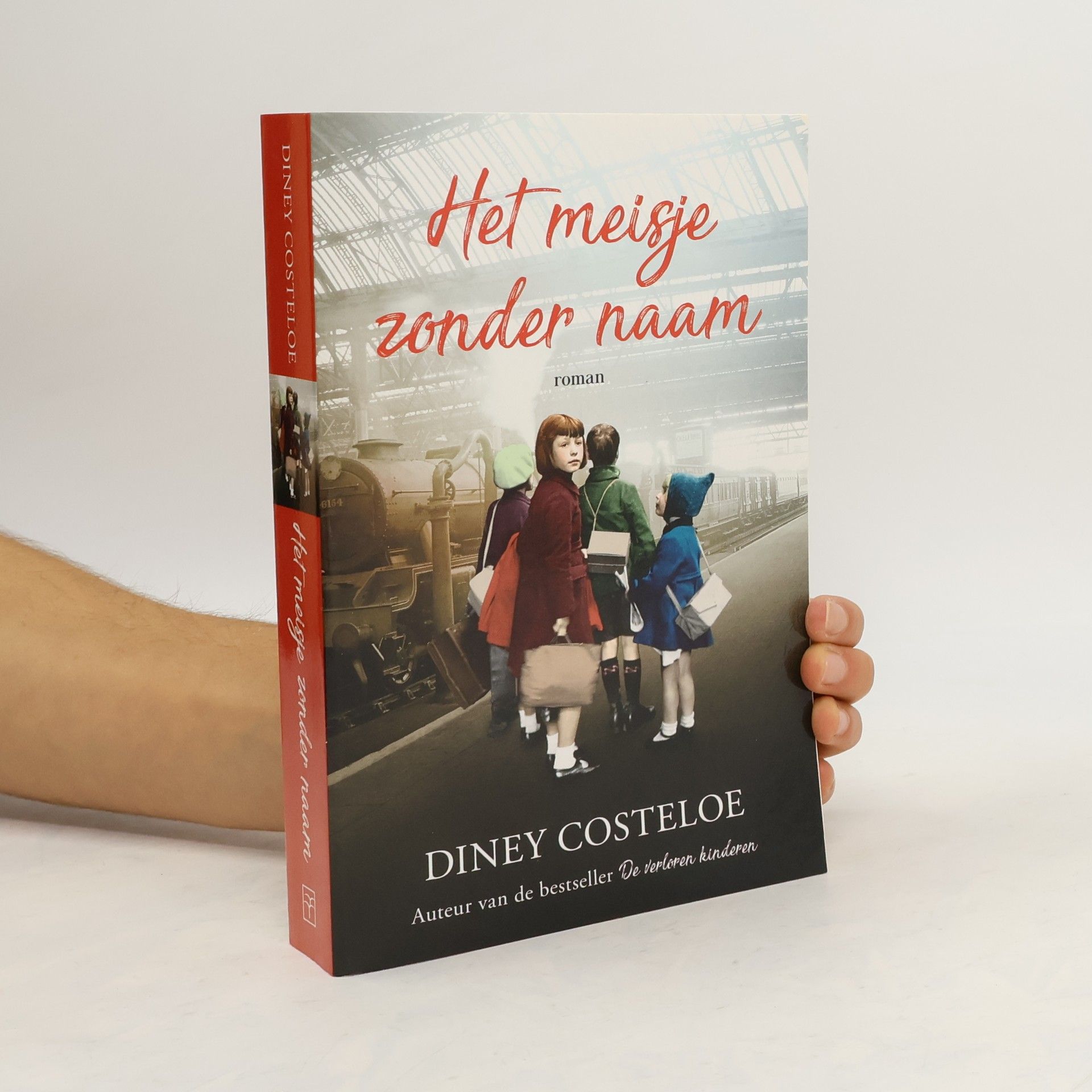 Diney Costeloe Het meisje zonder naam
