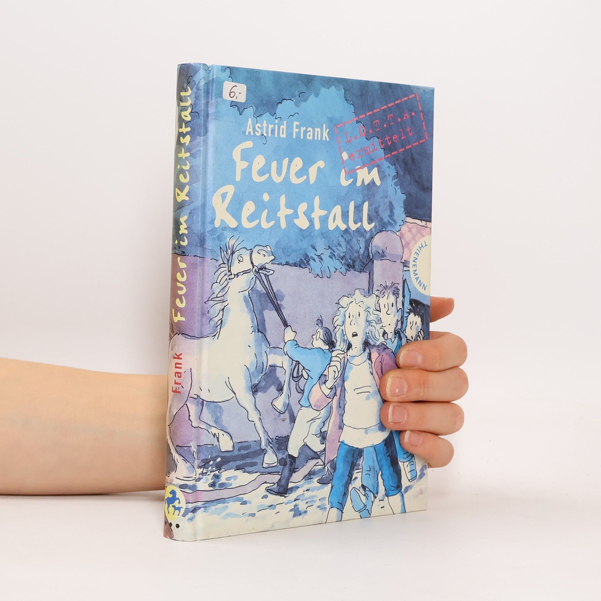 Astrid Frank Feuer im Reitstall