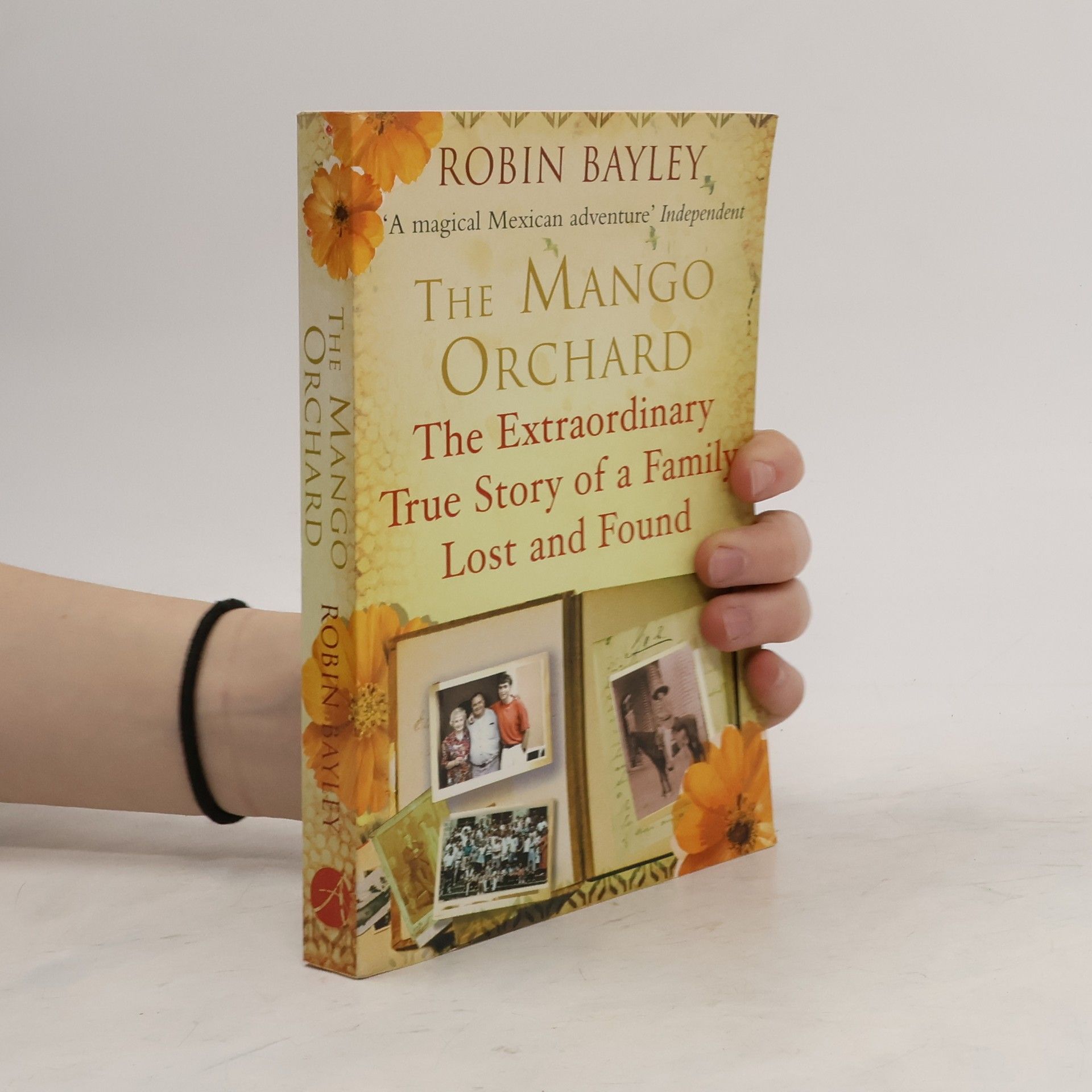 Robin Bayley The Mango Orchard