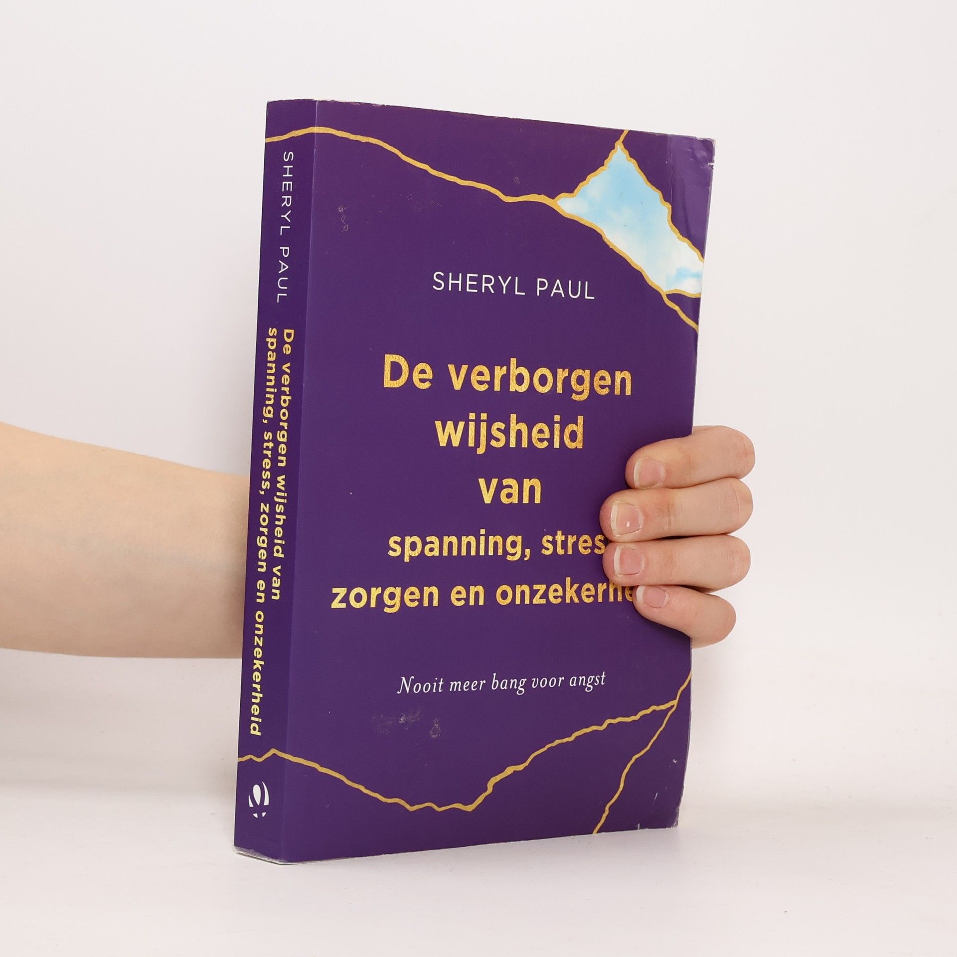 Sheryl Paul De verborgen wijsheid van spanning, stress, zorgen en onzekerheid