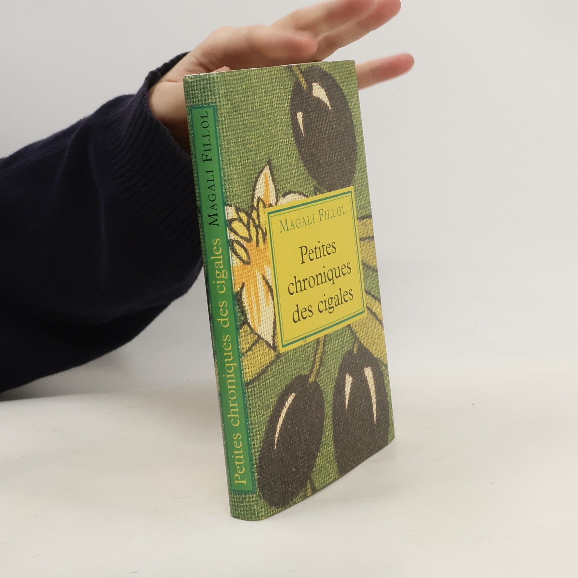 Magali Fillol Petites Chroniques des cigales