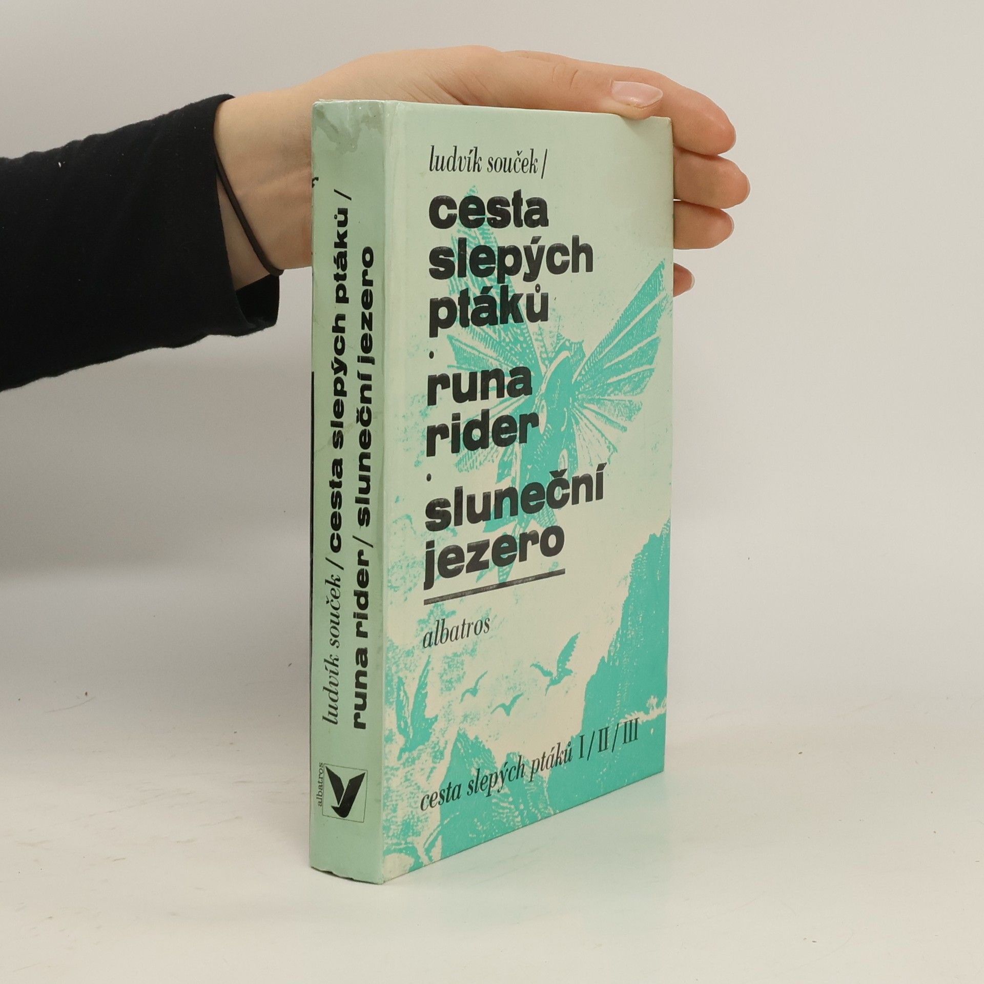Ludvík Souček Cesta slepých ptáků, Runa rider, Sluneční jezero