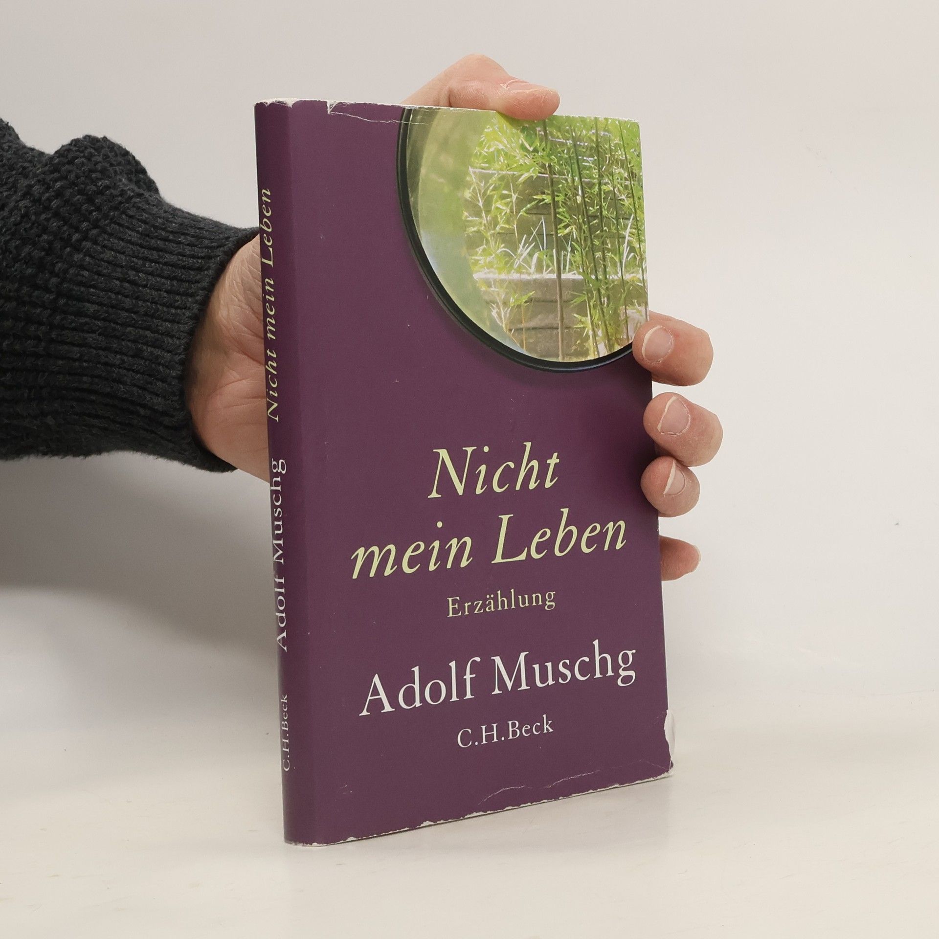 Adolf Muschg Nicht mein Leben