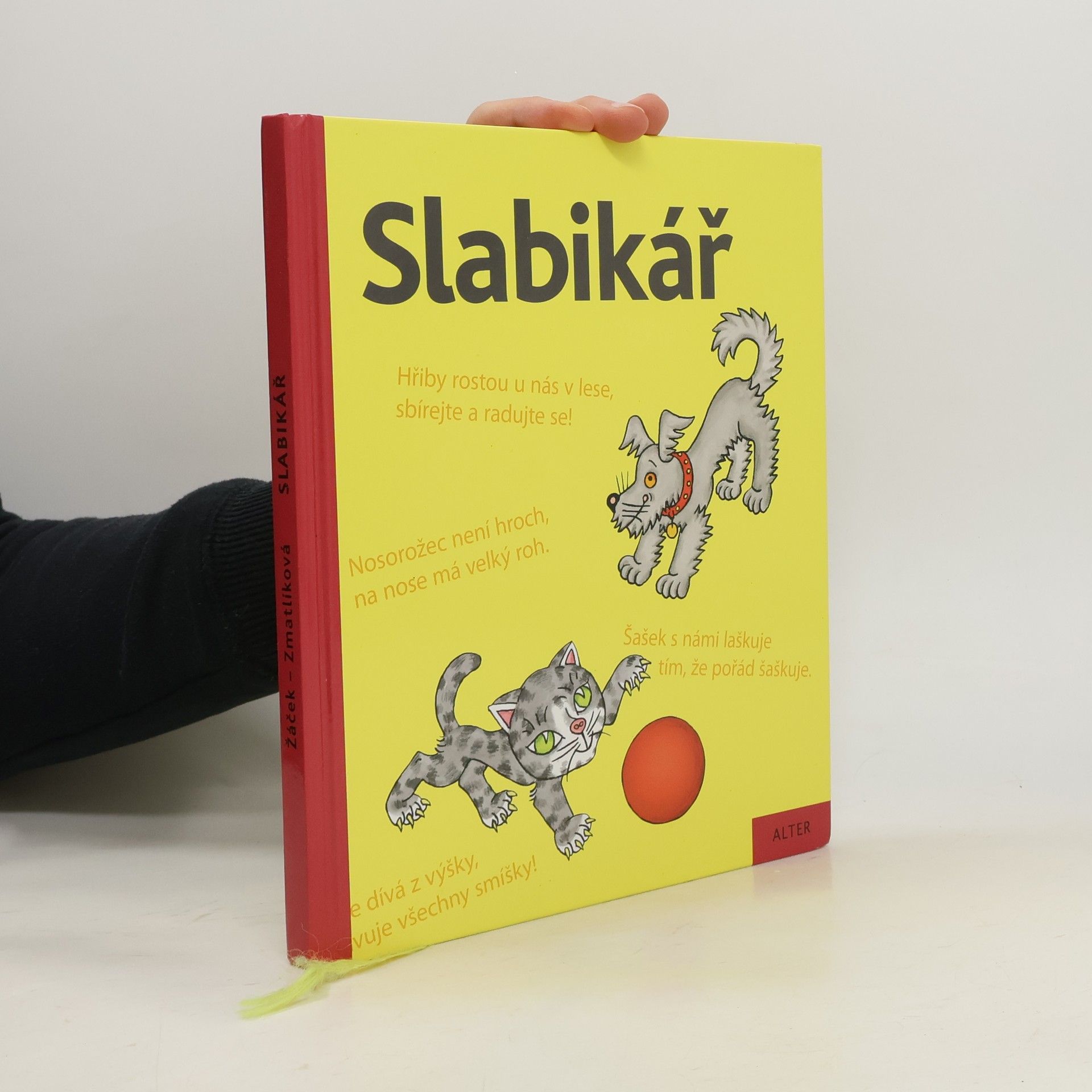 Slabikář : učebnice pro vzdělávací obor Český jazyk a literatura