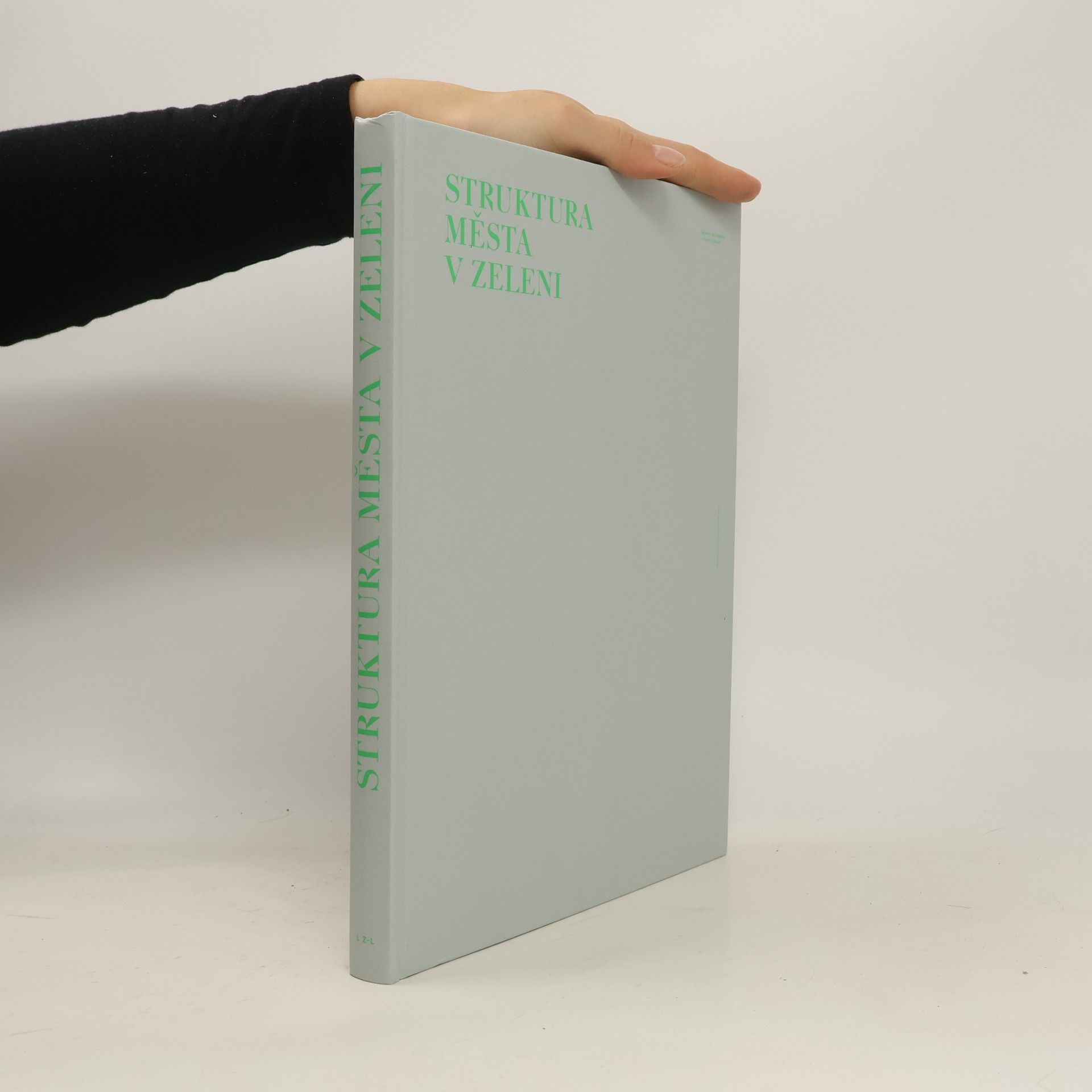 Ladislav Zikmund Lender Struktura města v zeleni