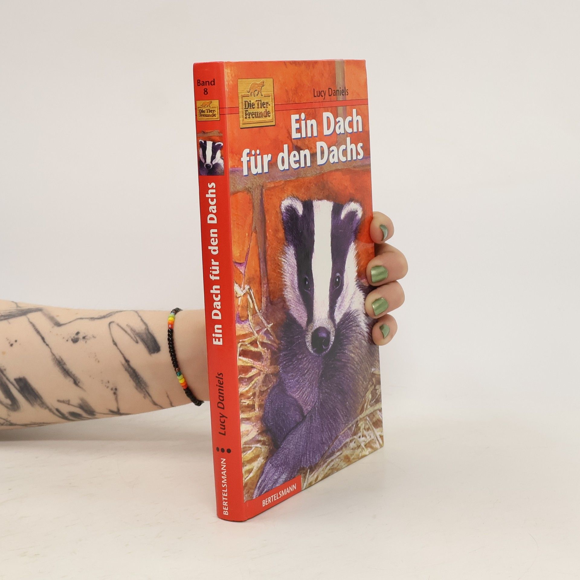 Lucy Daniels Ein Dach für den Dachs