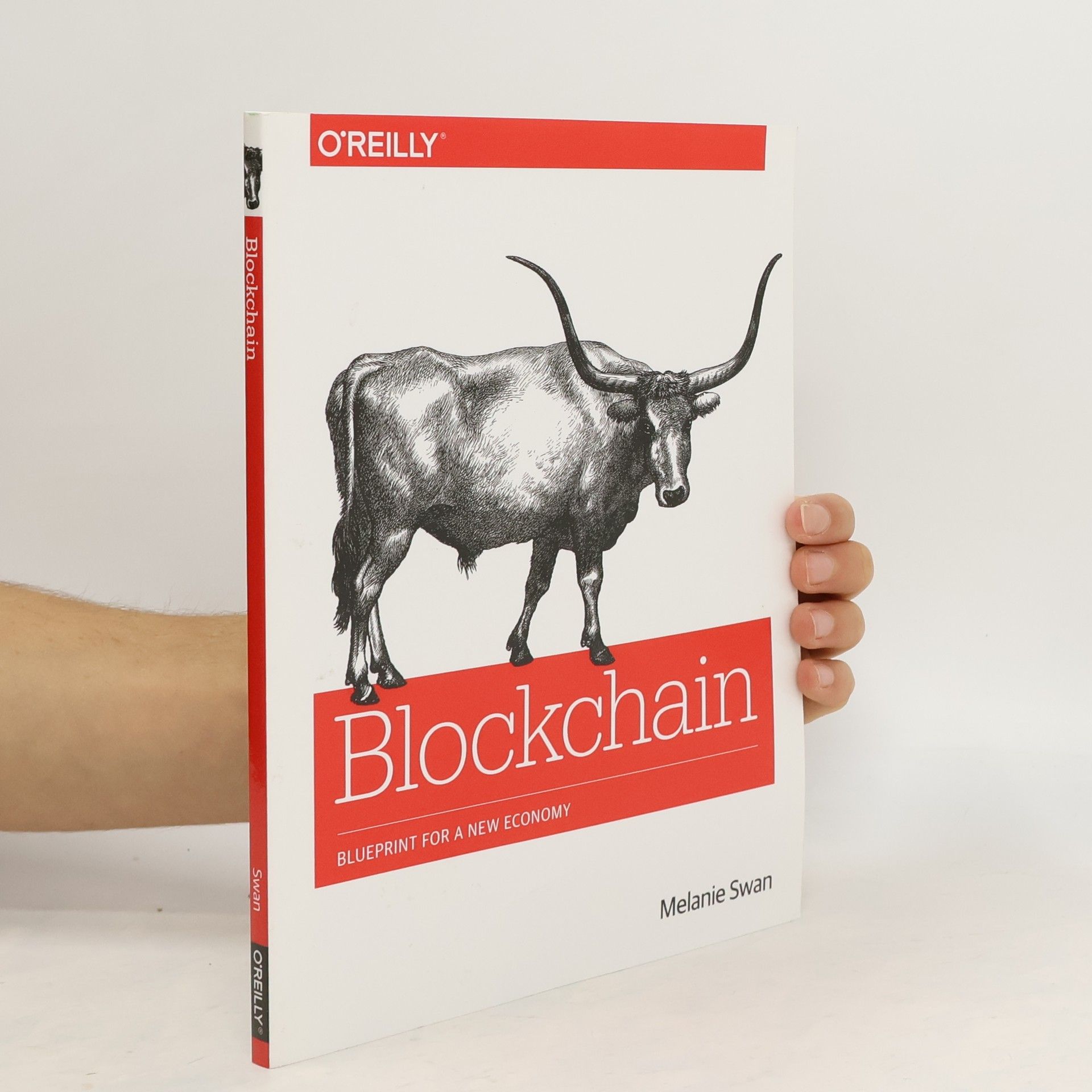 Melanie Swan Blockchain