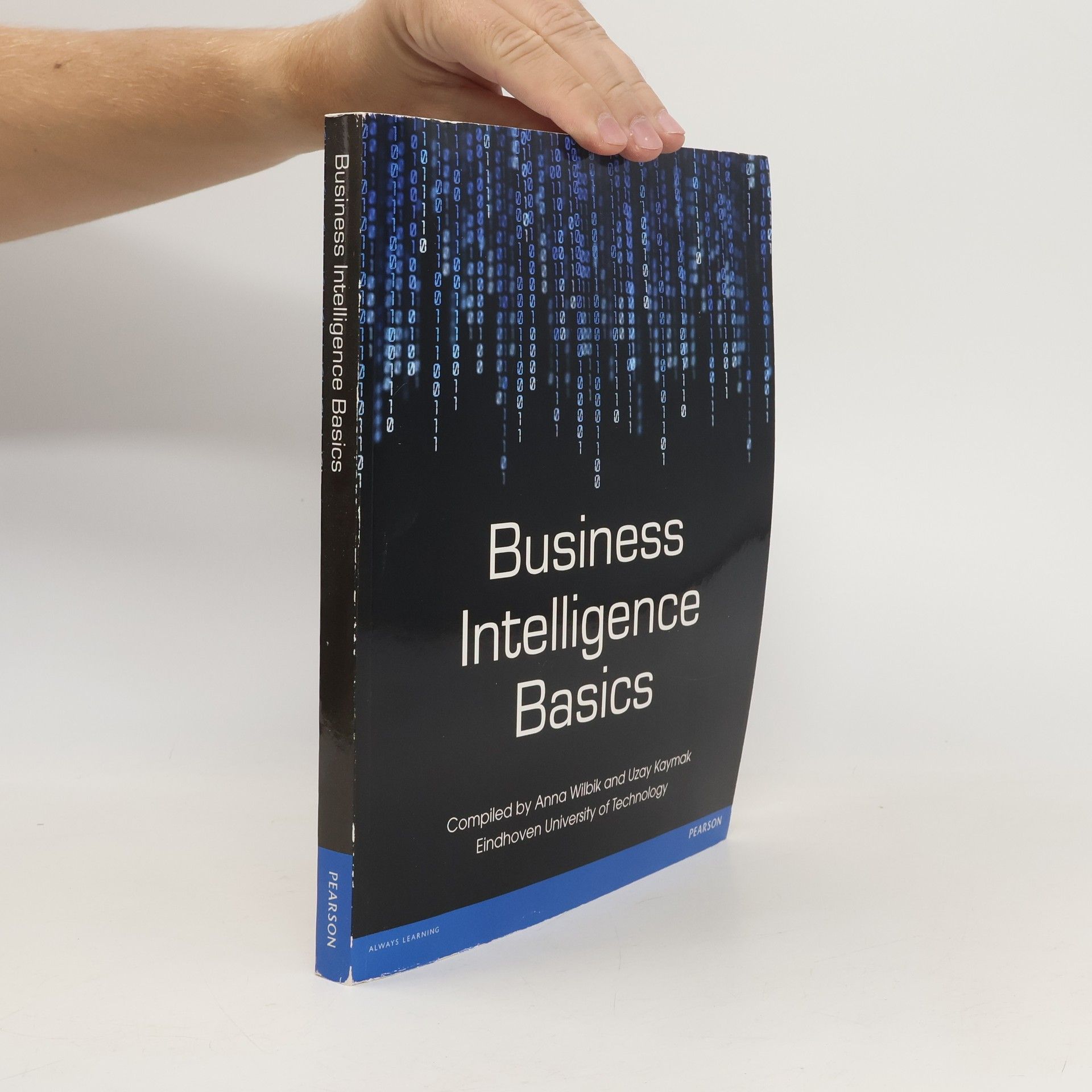 Anna Wilbik Business Intelligence Basics