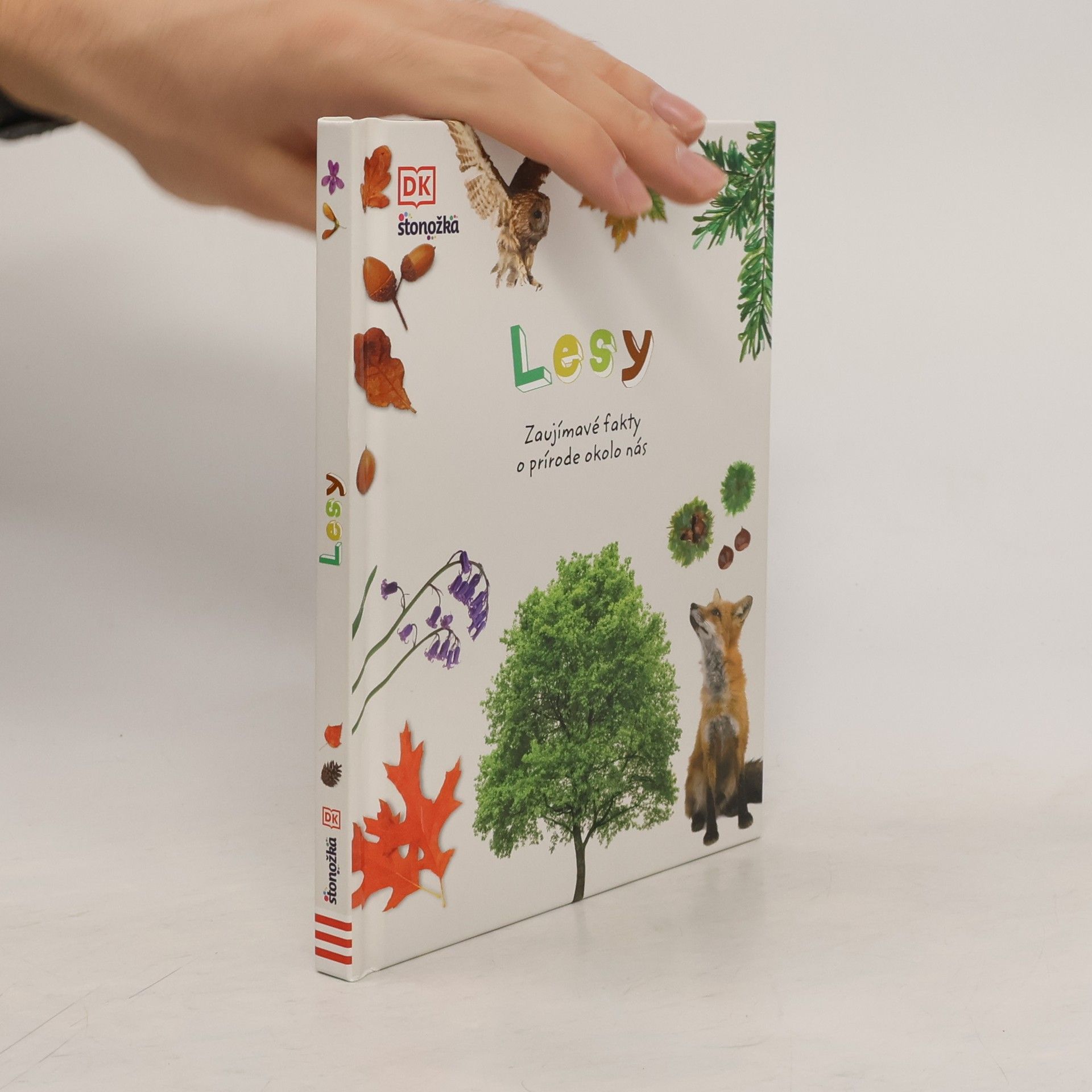 Autor neuvedený Lesy