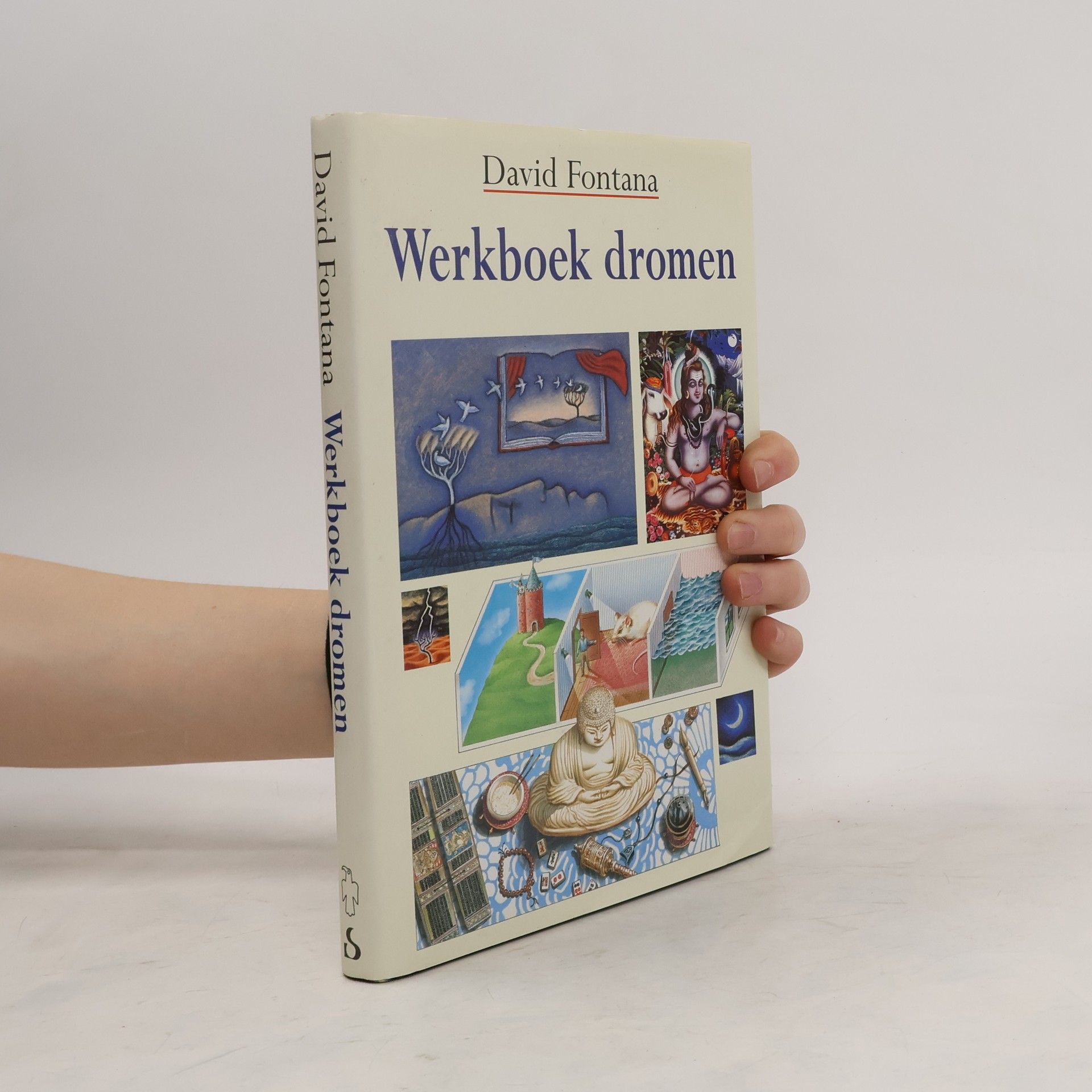 Werkboek dromen