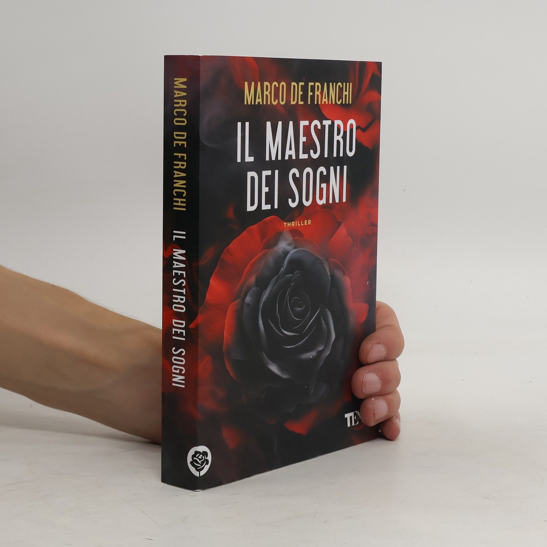 Il maestro dei sogni