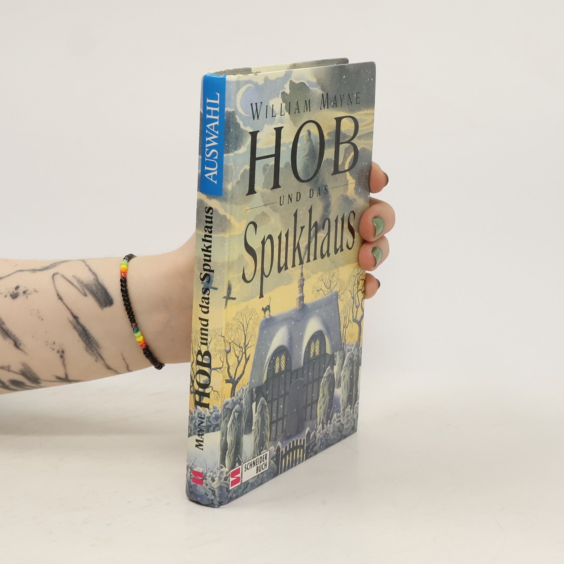 William Mayne Hob und das Spukhaus