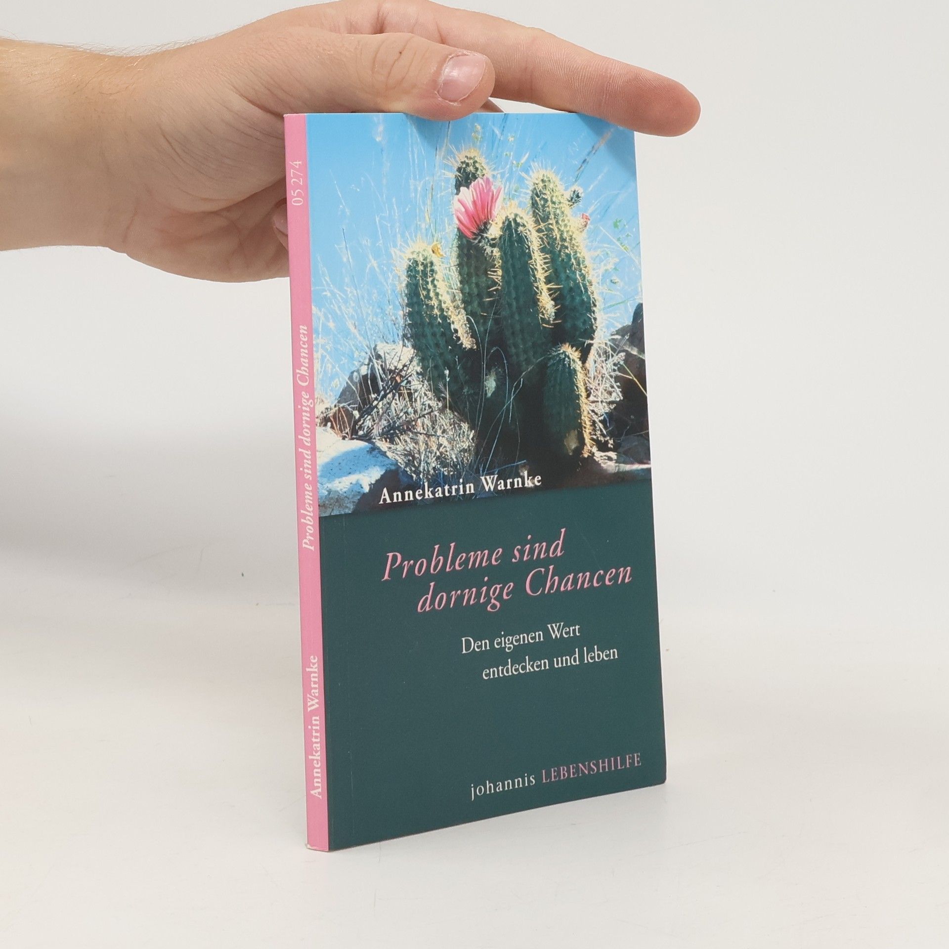 Probleme sind dornige Chancen