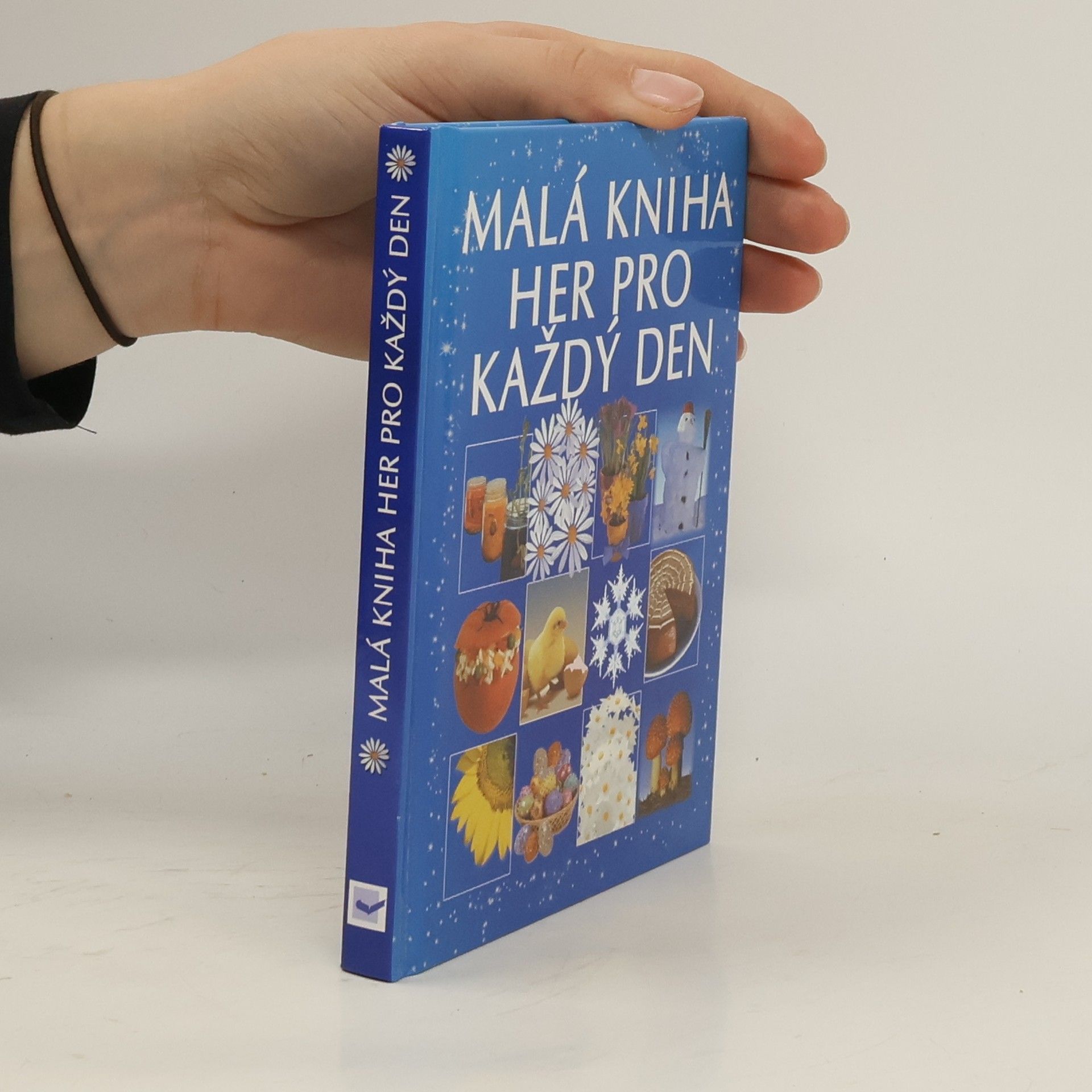 Angela Wilkes Malá kniha her pro každý den