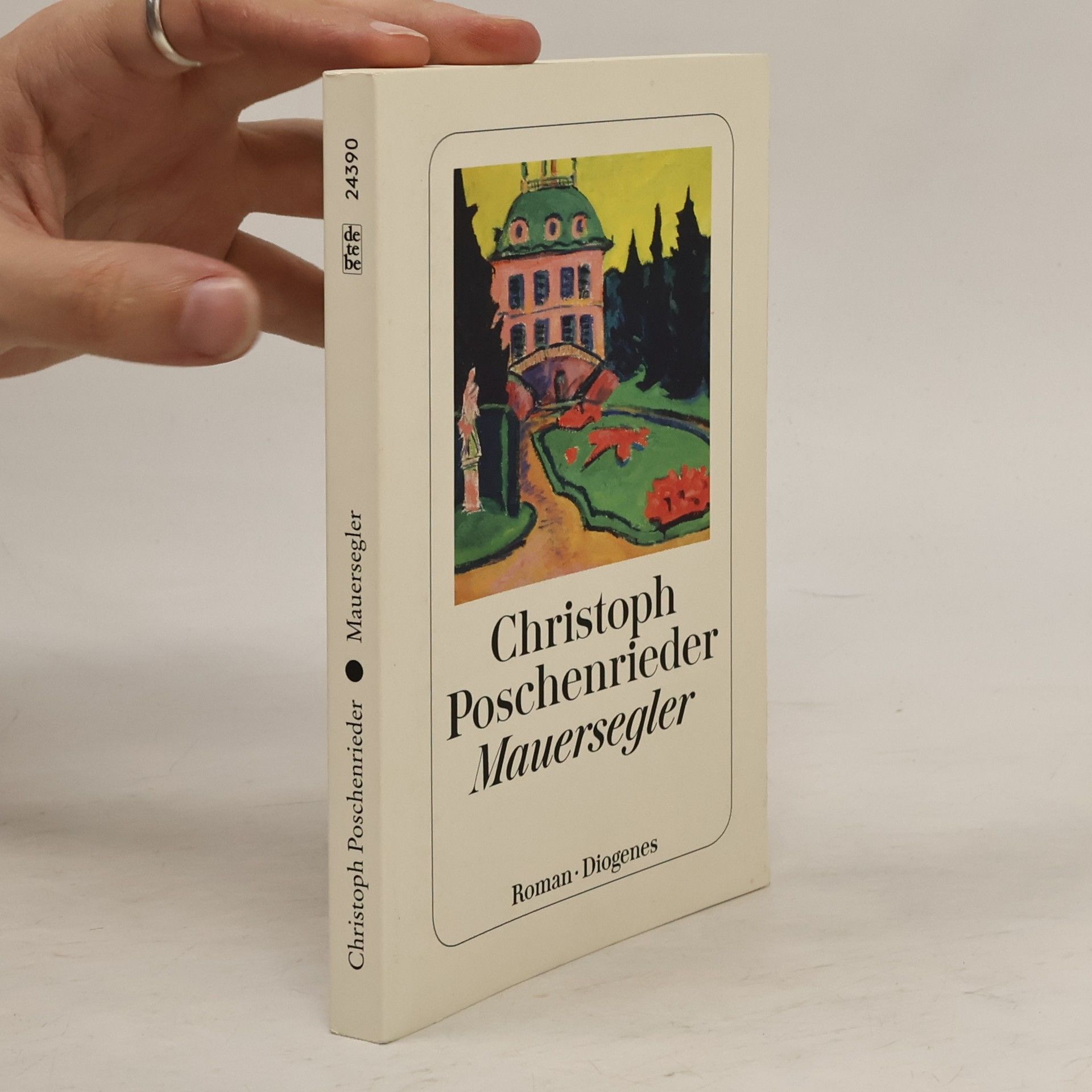 Christoph Poschenrieder Mauersegler