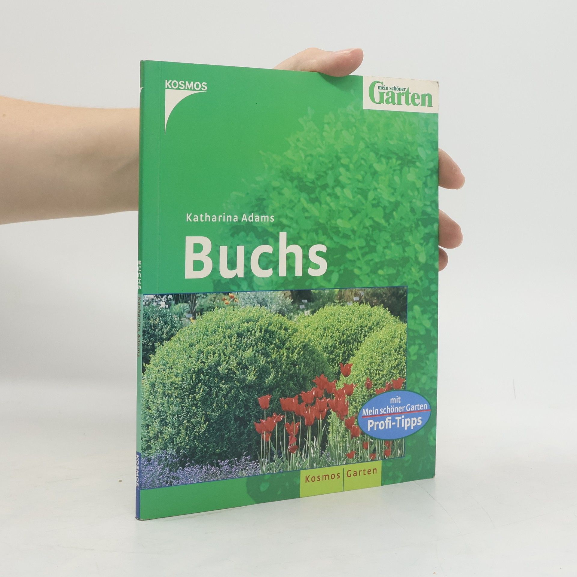 Katharina Adams Buchs