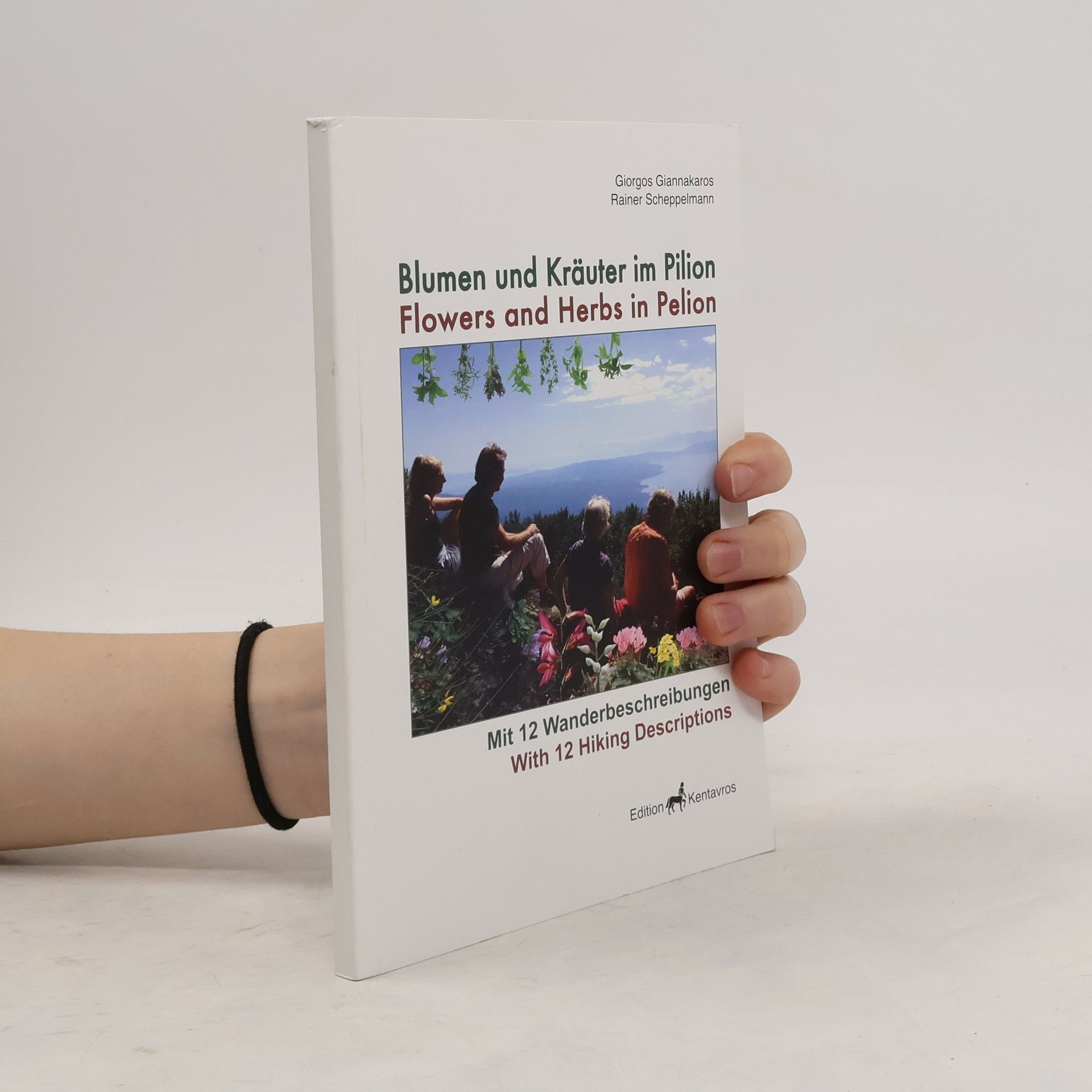 Geōrgios Giannakaros Blumen und Kräuter im Pilion