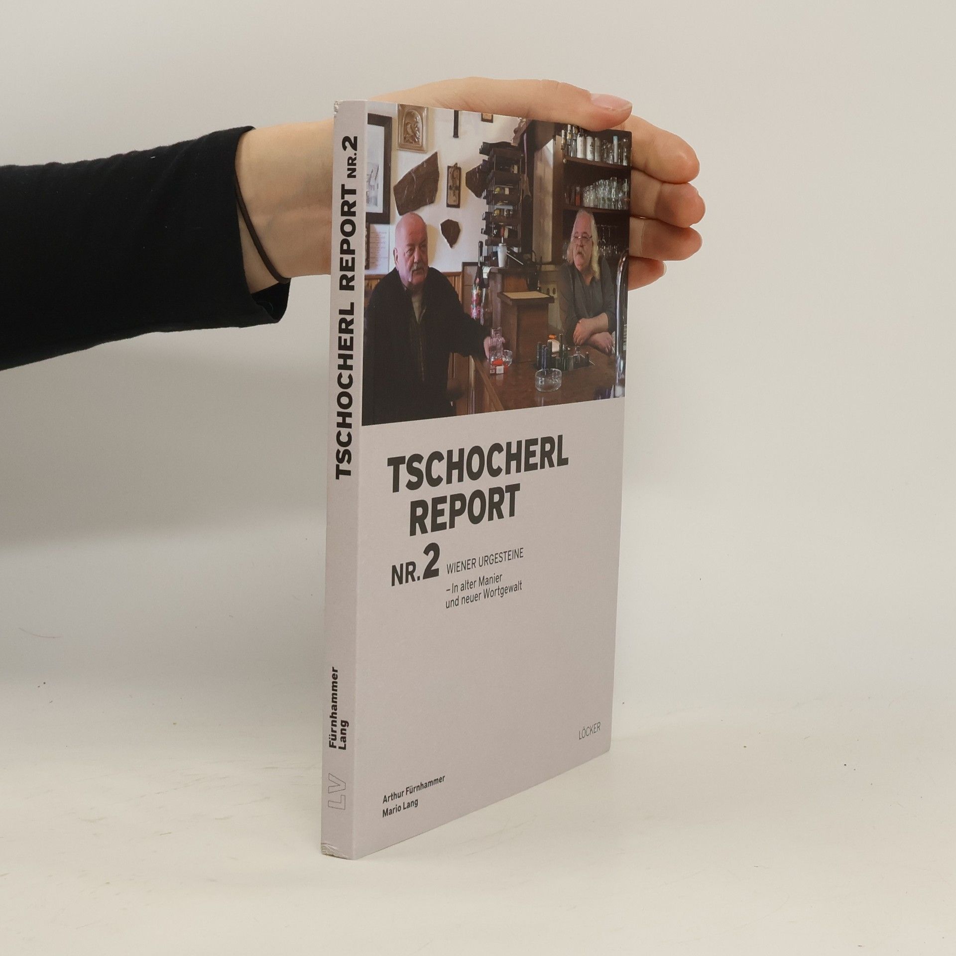 Arthur Fürnhammer Wiener Urgesteine - in alter Manier und neuer Wortgewalt