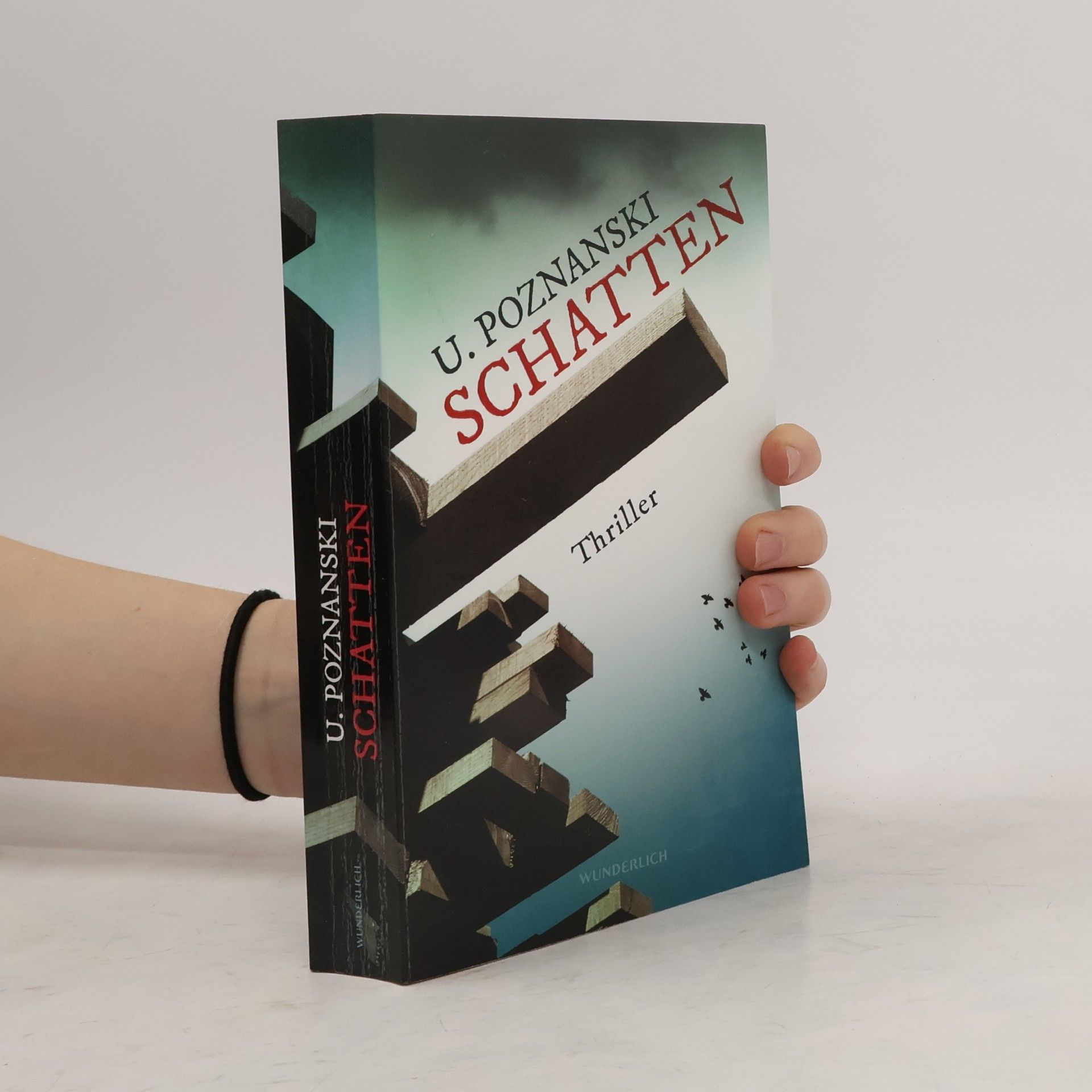 Ursula Poznanski Schatten