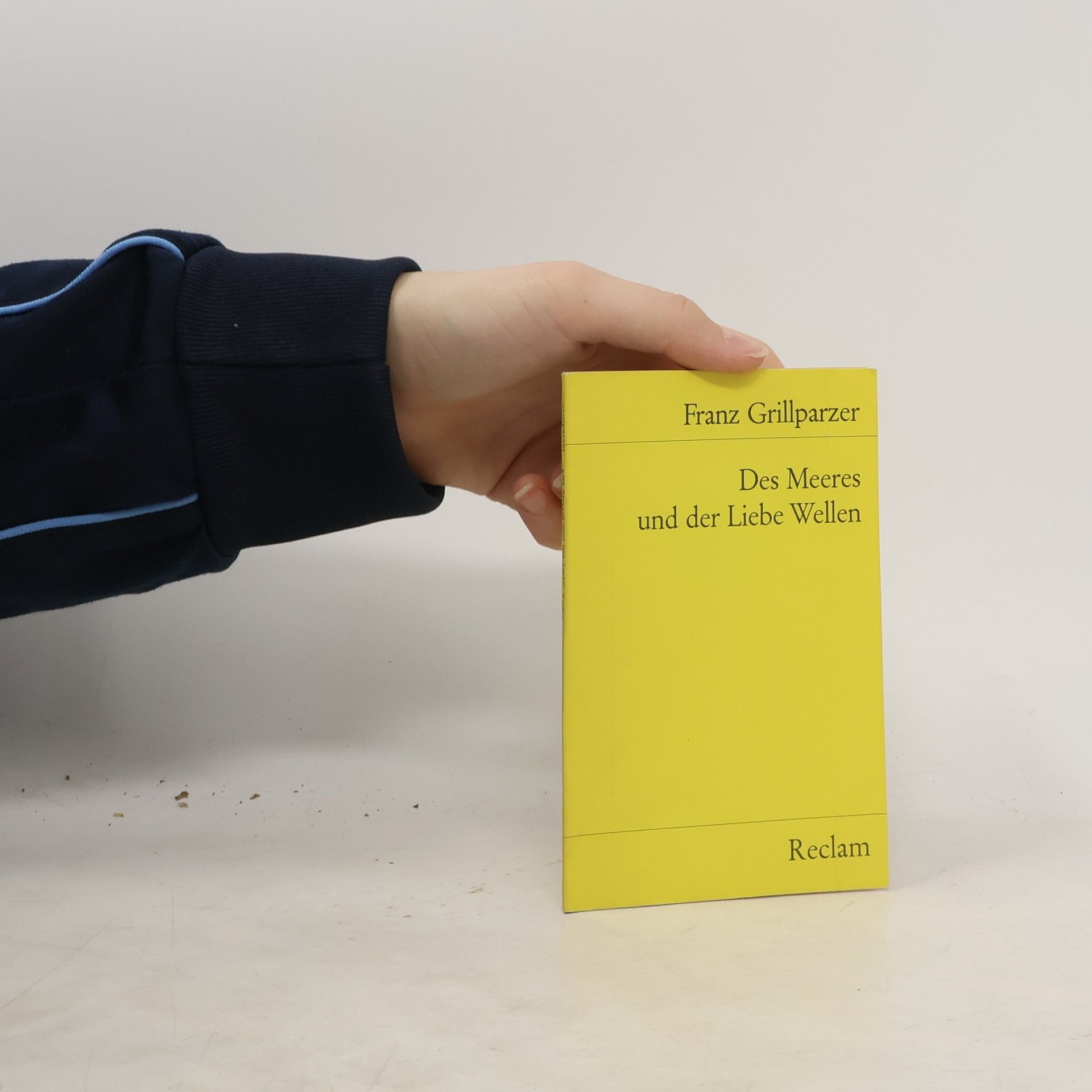 Des Meeres und der Liebe Wellen