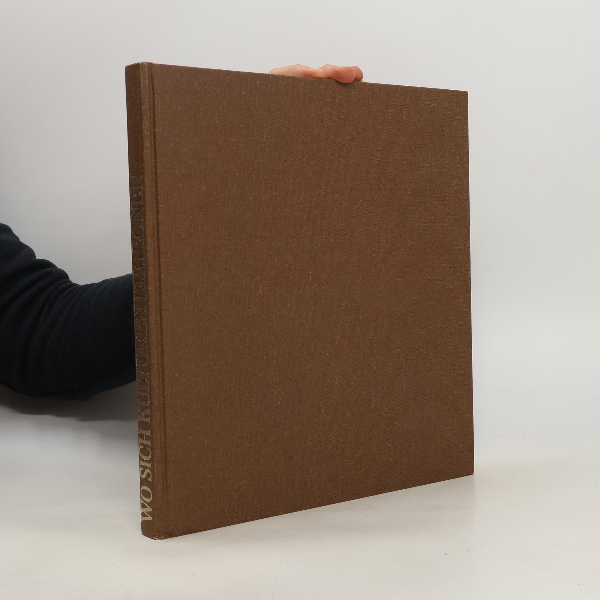 Natalia Berger Wo sich Kulturen begegnen. Die Geschichte der tschechoslowakischen Juden