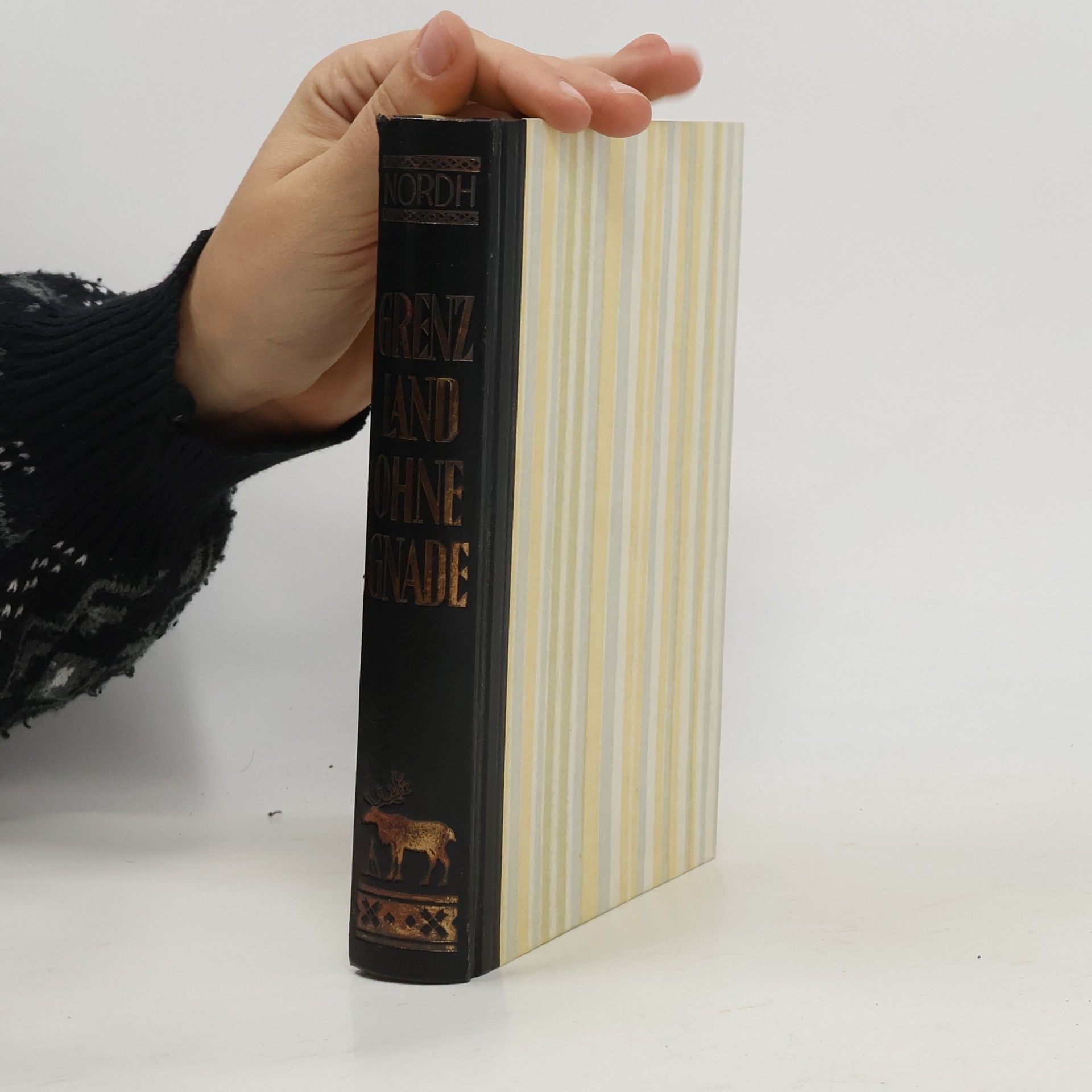 Grenzland ohne Gnade