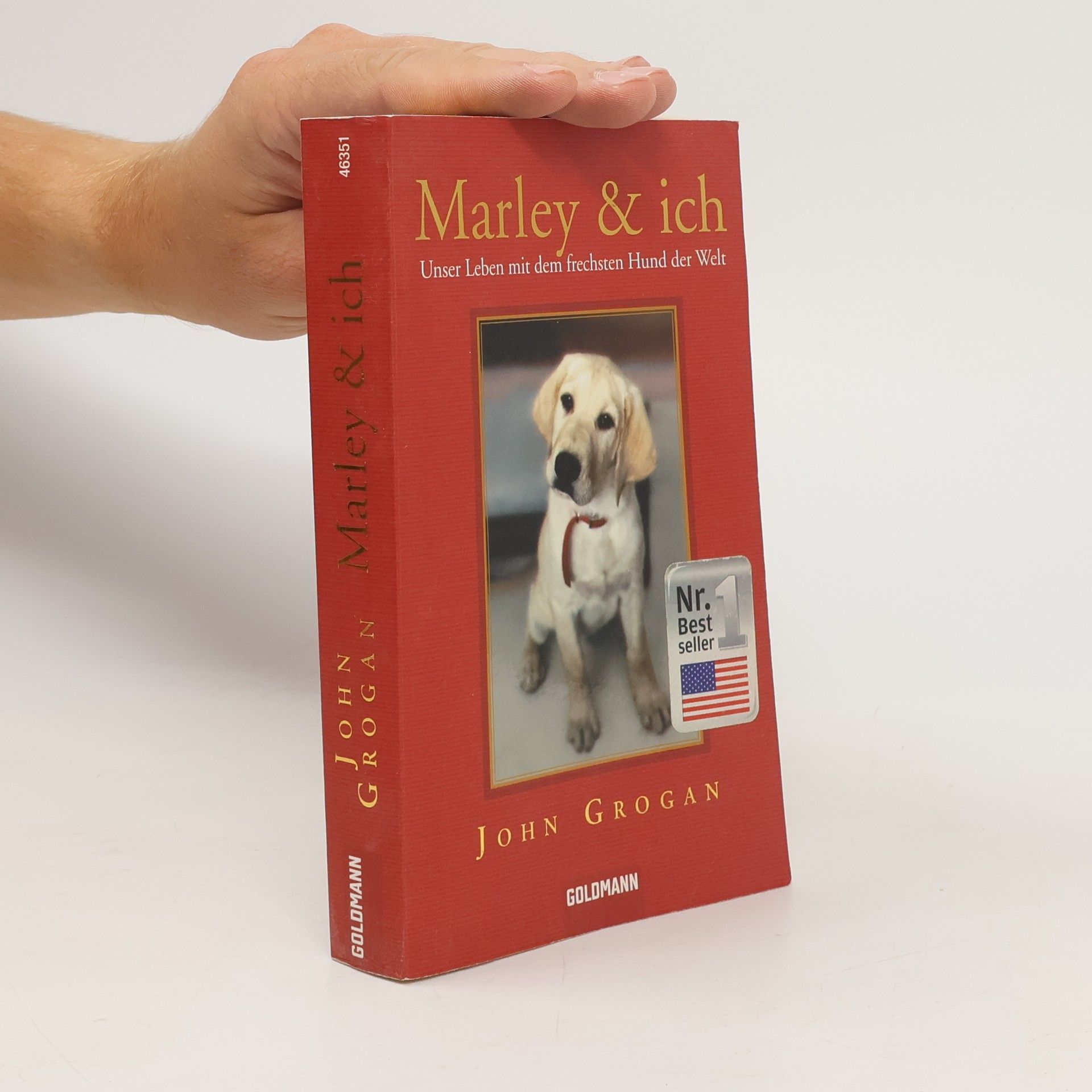John Grogan Marley & ich