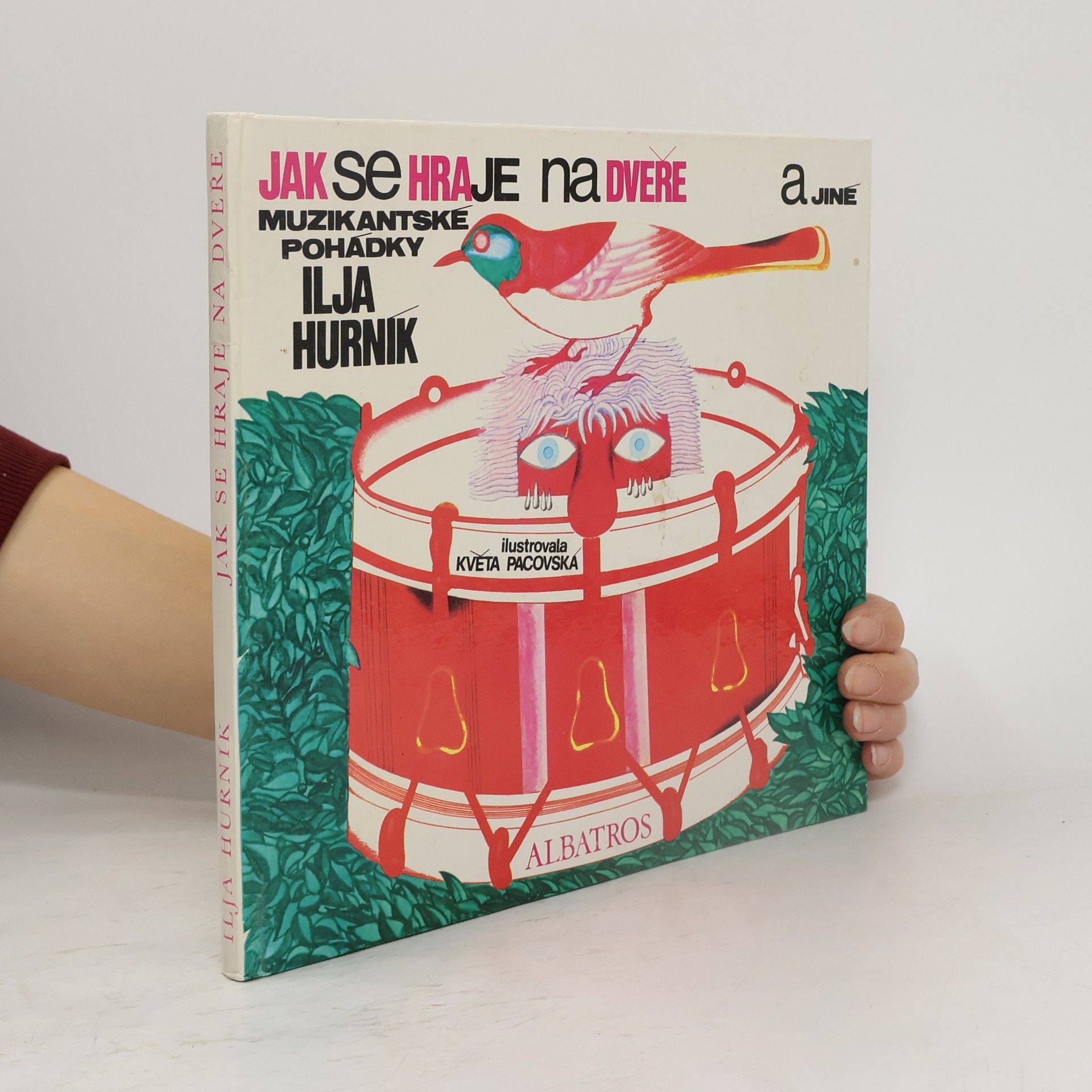 Jak se hraje na dveře a jiné muzikantské pohádky