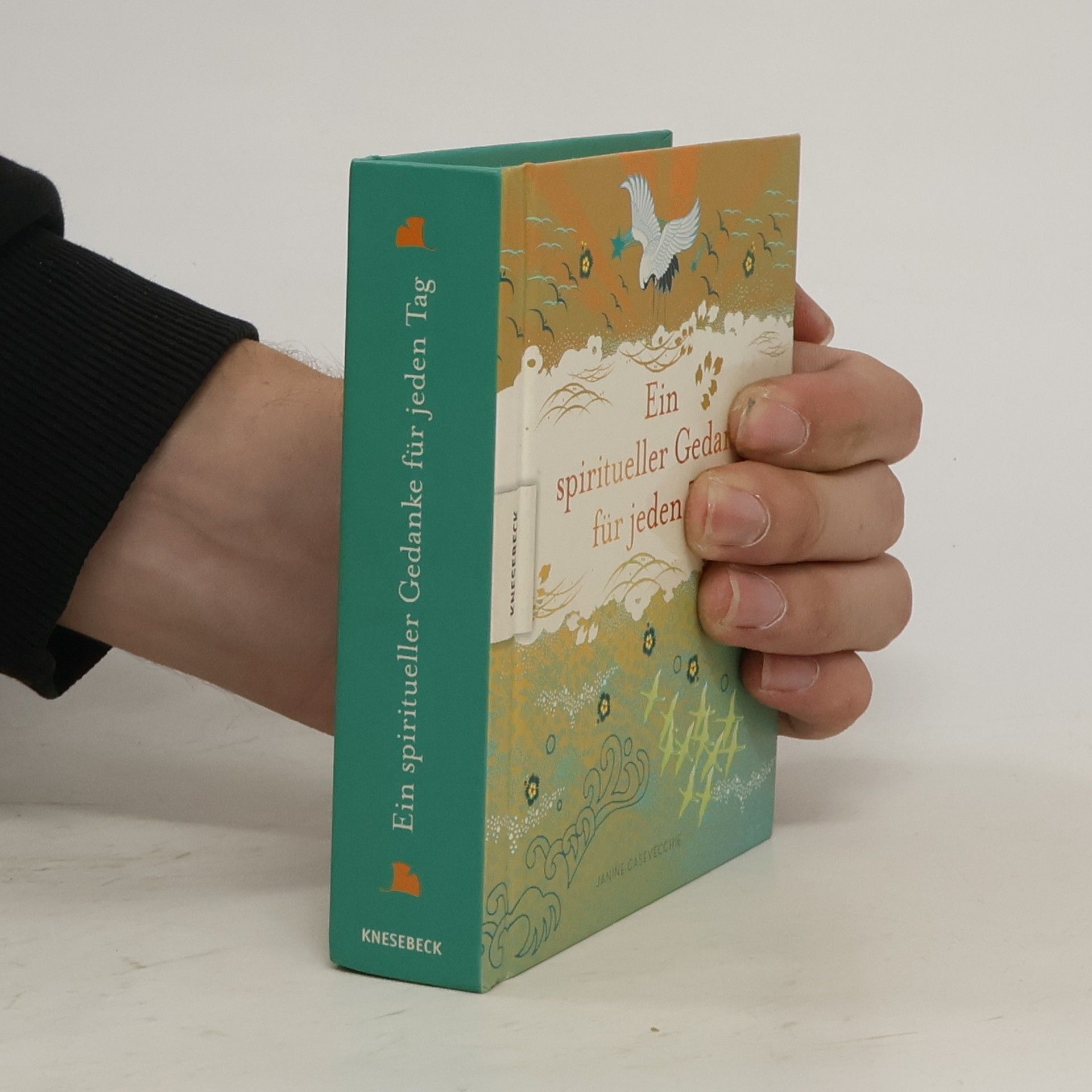 Janine Casevecchie Ein spiritueller Gedanke für jeden Tag