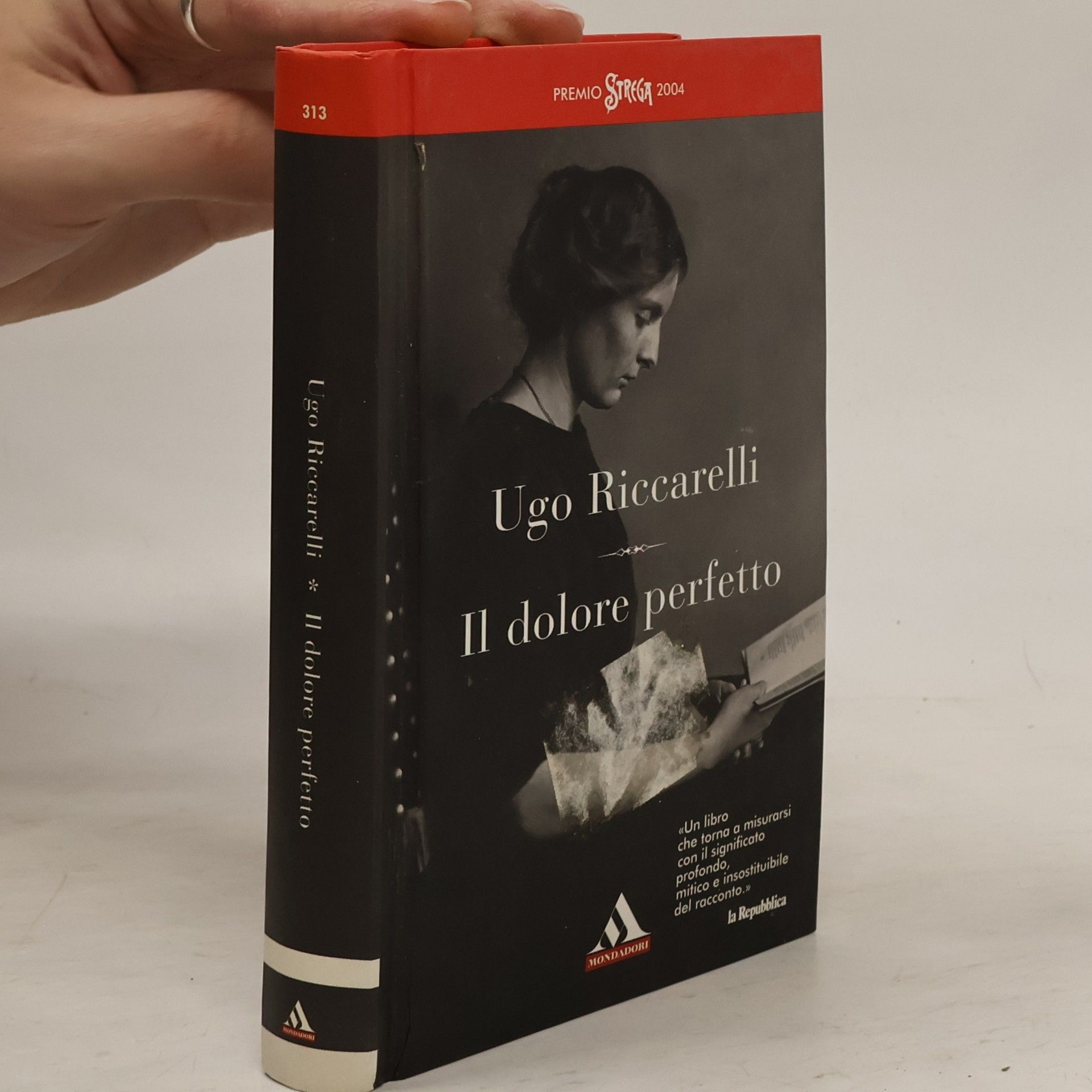 Ugo Riccarelli Il dolore perfetto