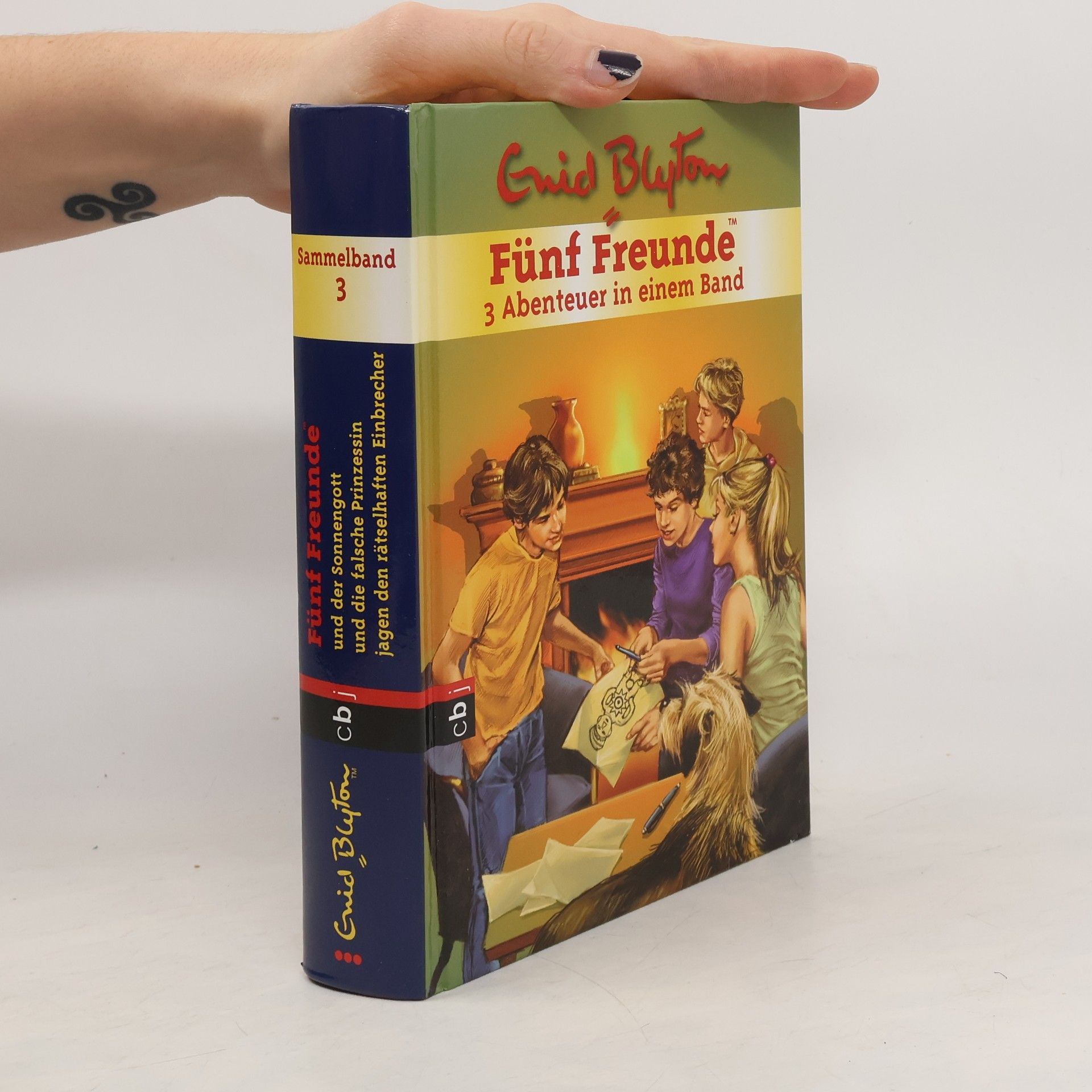 Enid Blyton Fünf Freunde Sammelband 3