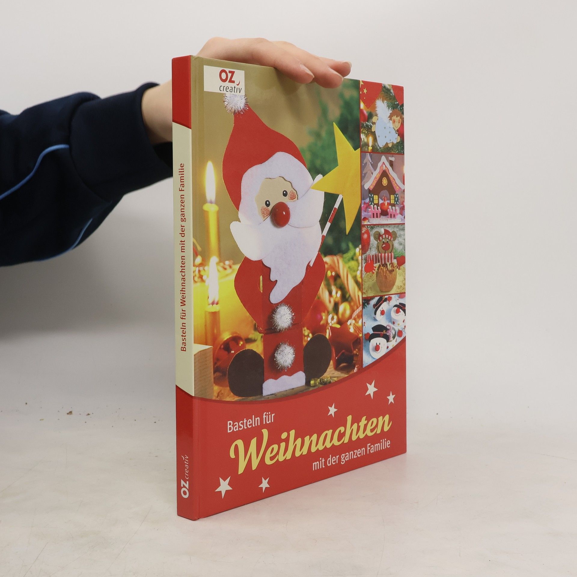 Petra Hassler Basteln für Weihnachten mit der ganzen Familie