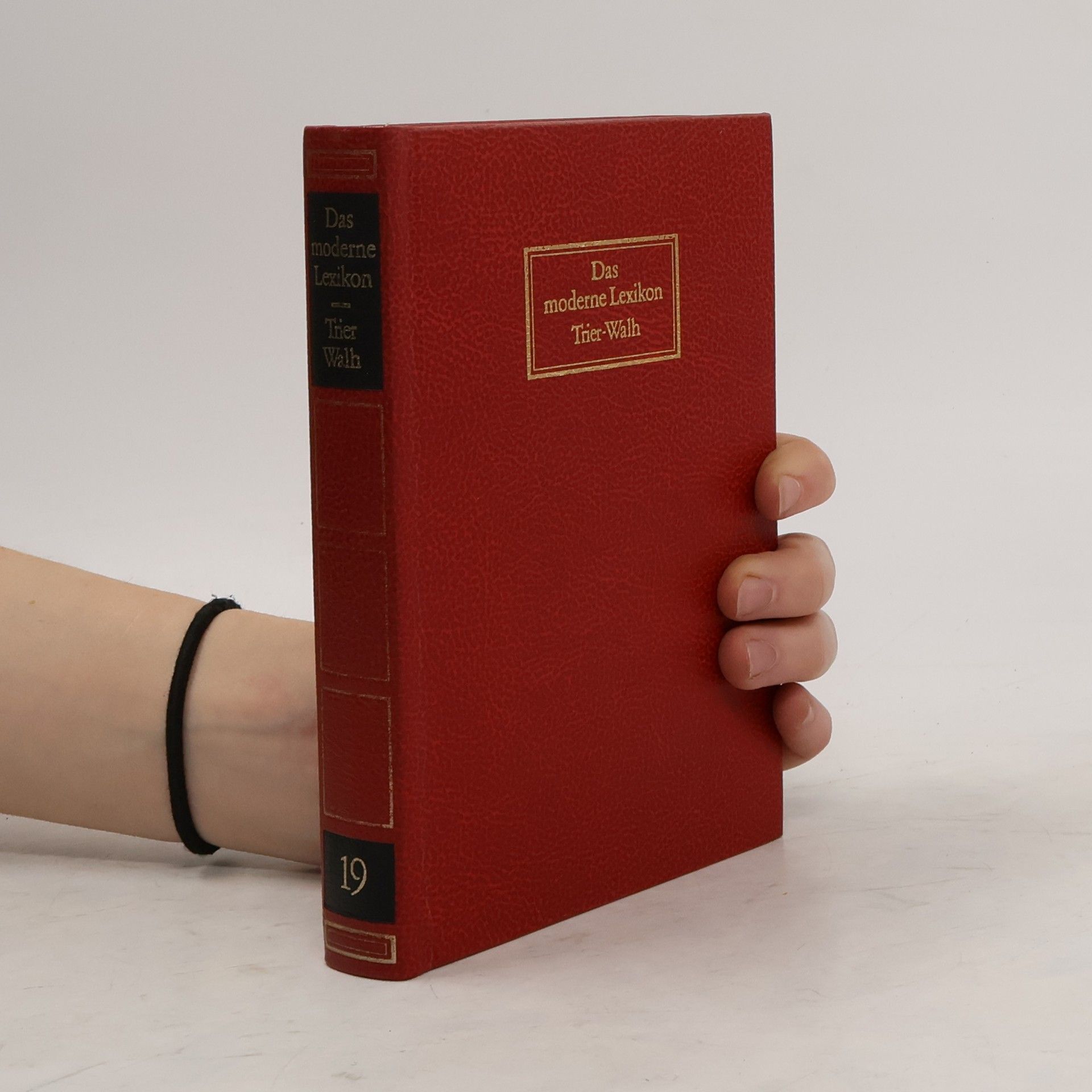 AA.VV. Das moderne Lexikon 19. Triep-Wahl