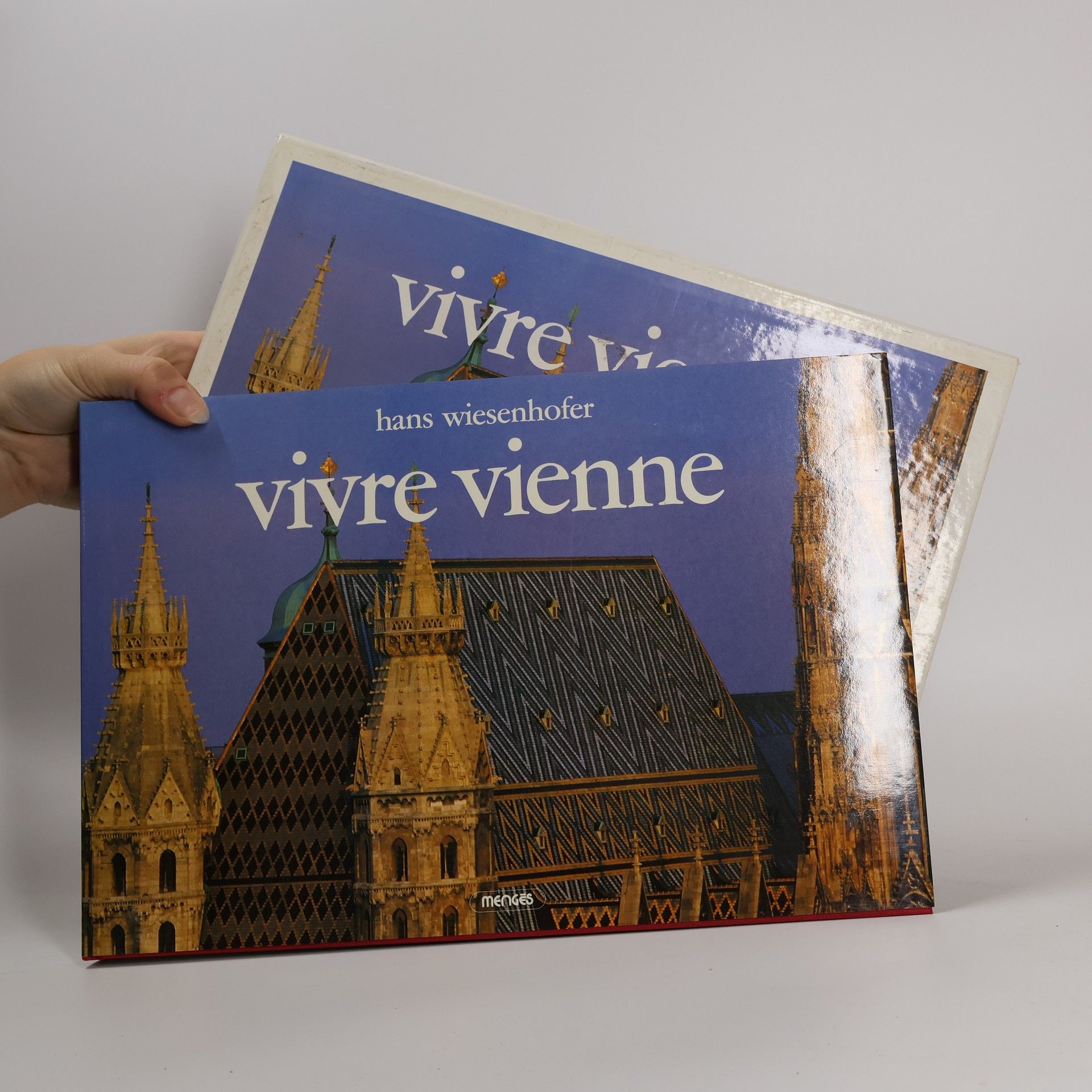 Hans Wiesenhofer Wien. Impressionen einer Traumstadt