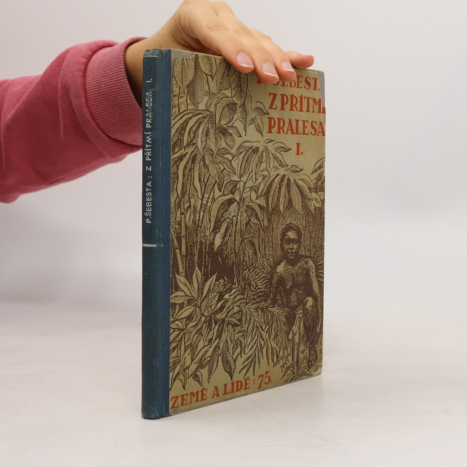 Z přítmí pralesa I.