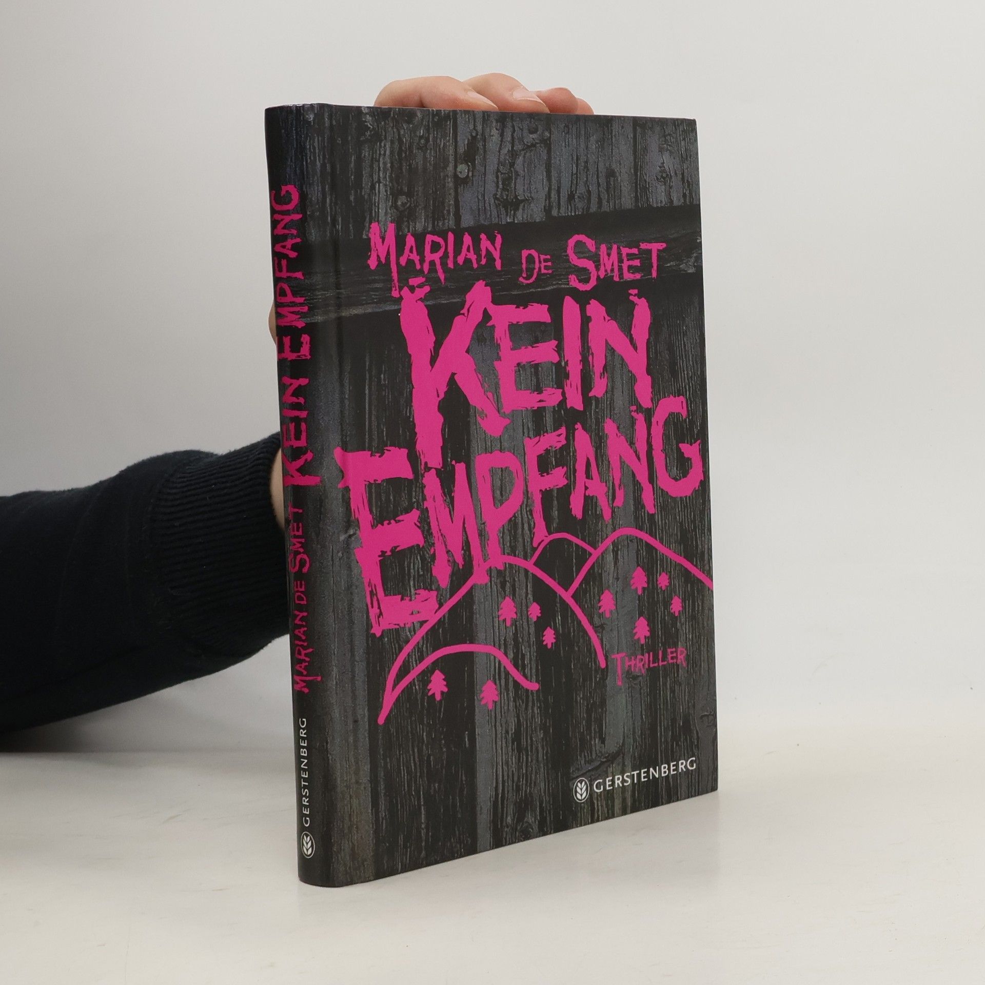 Marian de Smet Kein Empfang