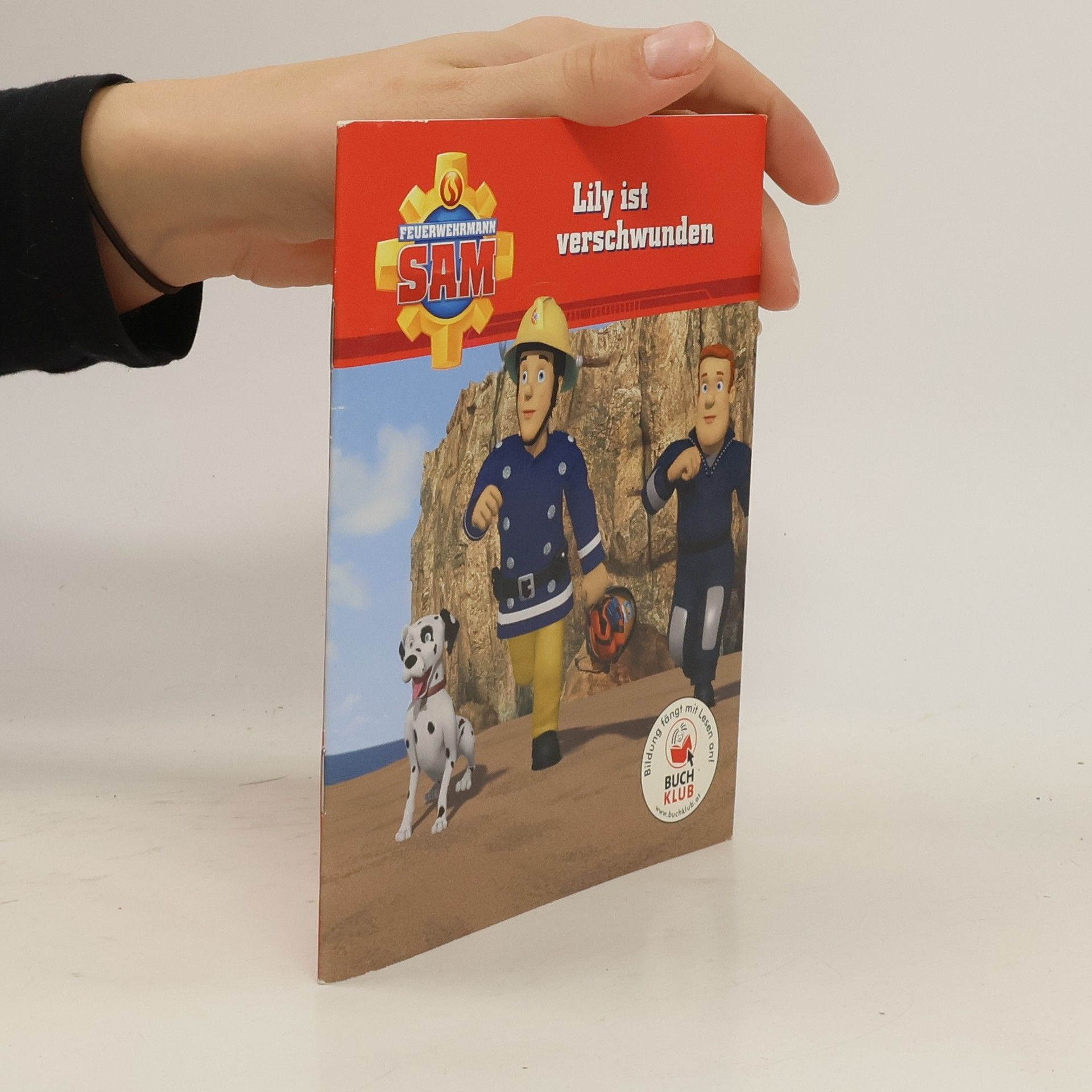 Various authors Lily ist verschwunden