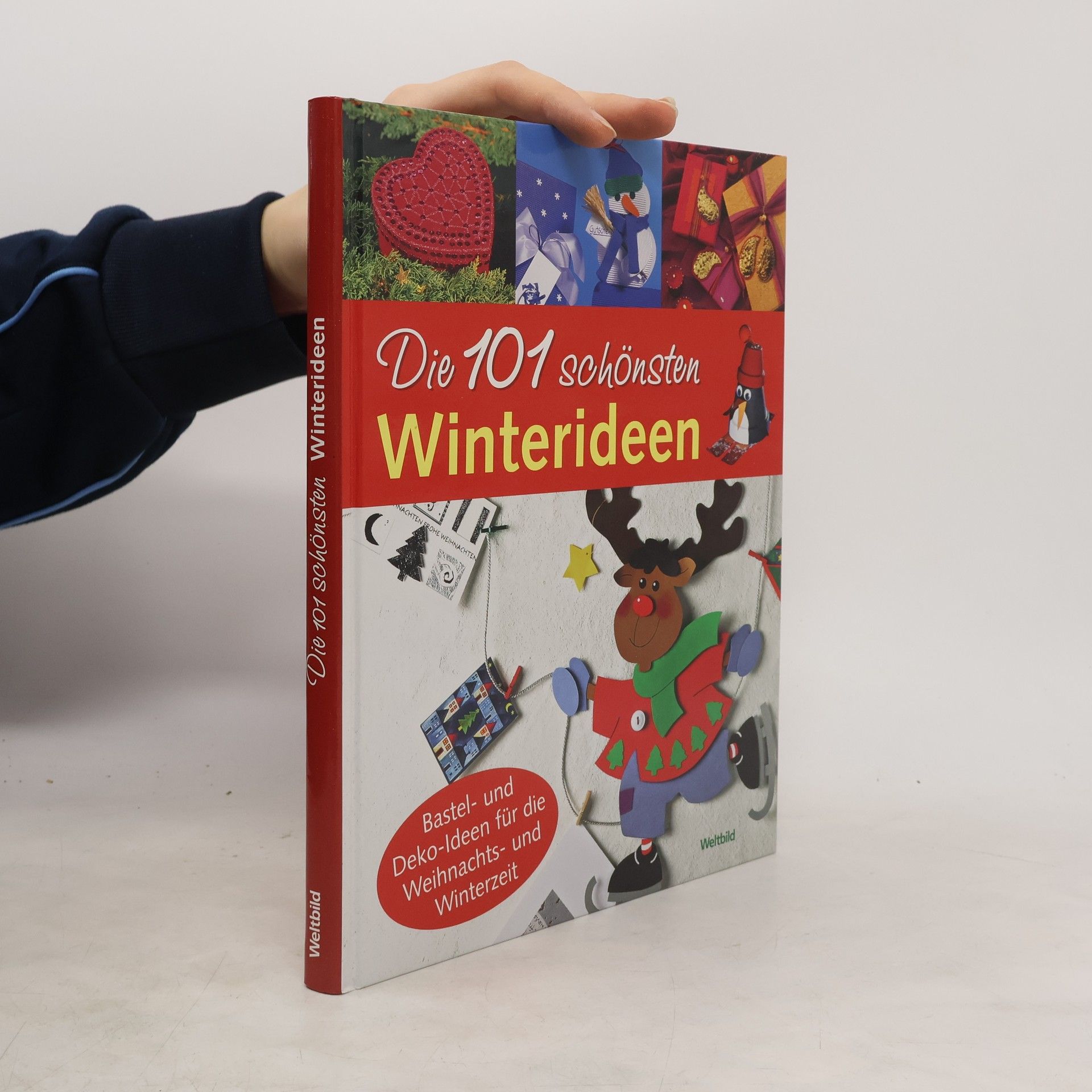 Michael Altmeyer Die 101 schönsten Winterideen