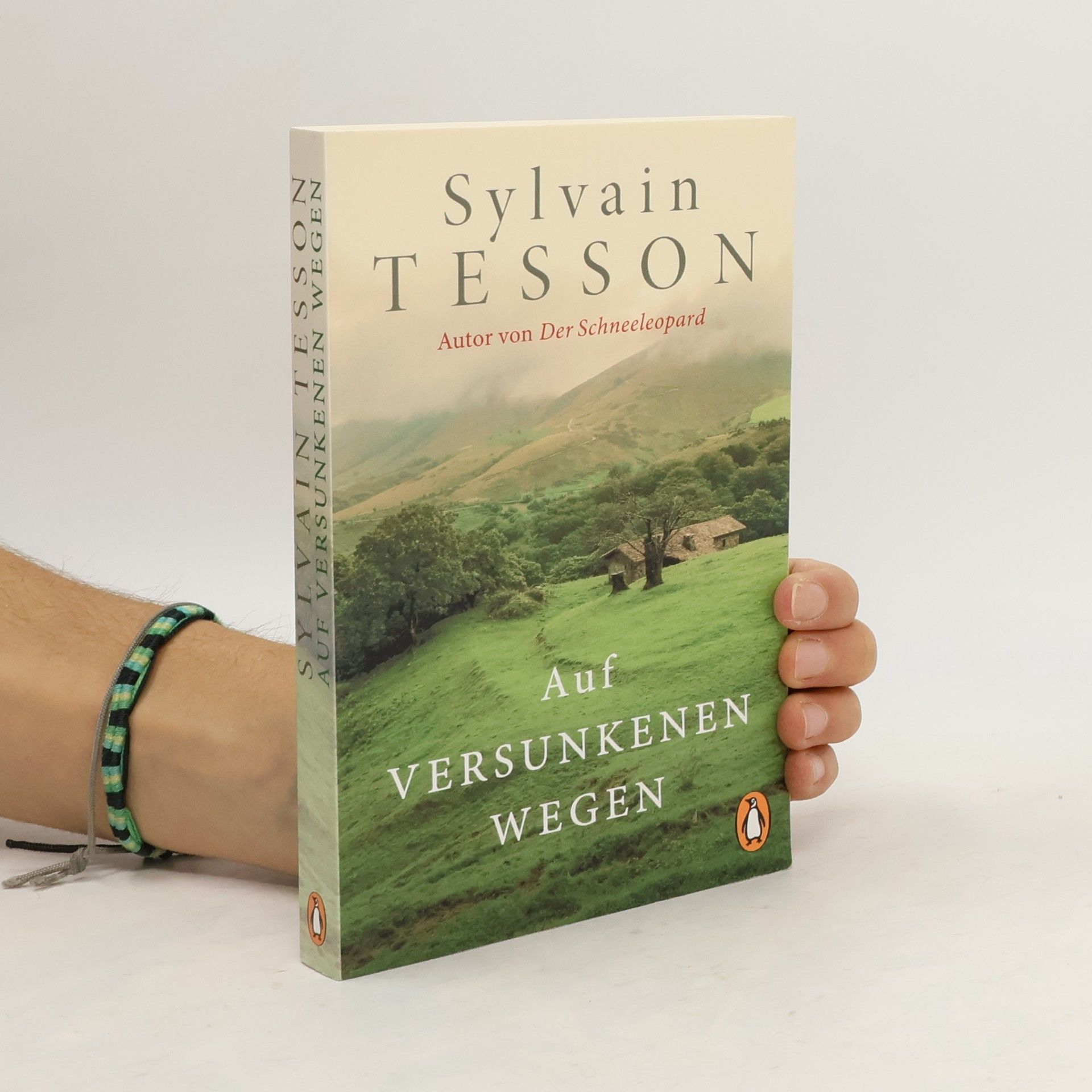 Sylvain Tesson Auf versunkenen Wegen