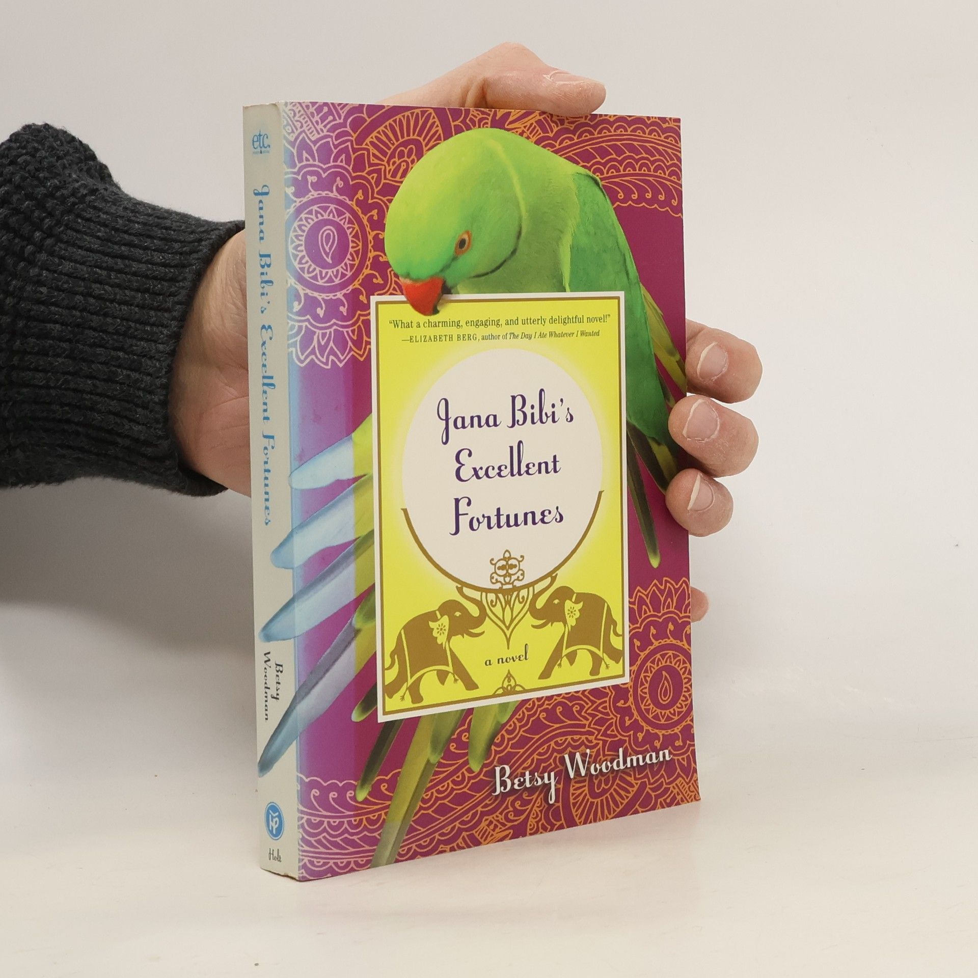 Betsy Woodman Jana Bibi's Excellent Fortunes