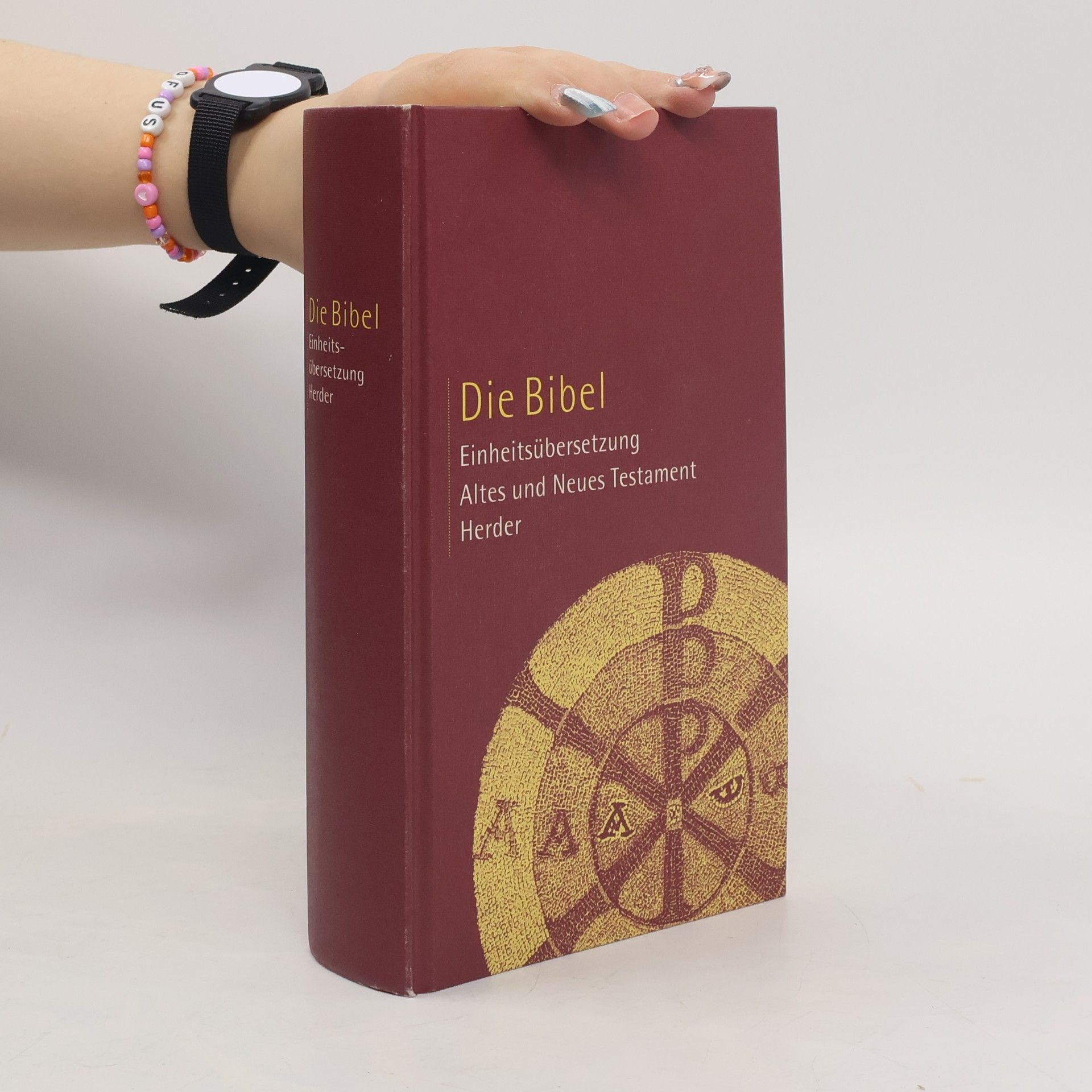 Kolektiv autorů Die Bibel