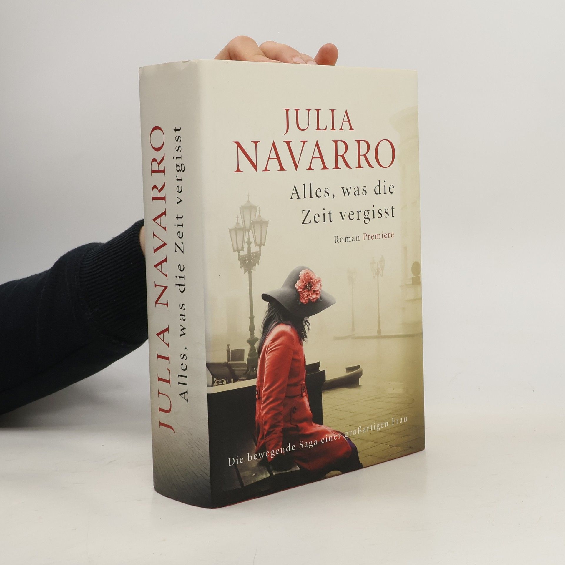 Julia Navarro Alles, was die Zeit vergisst