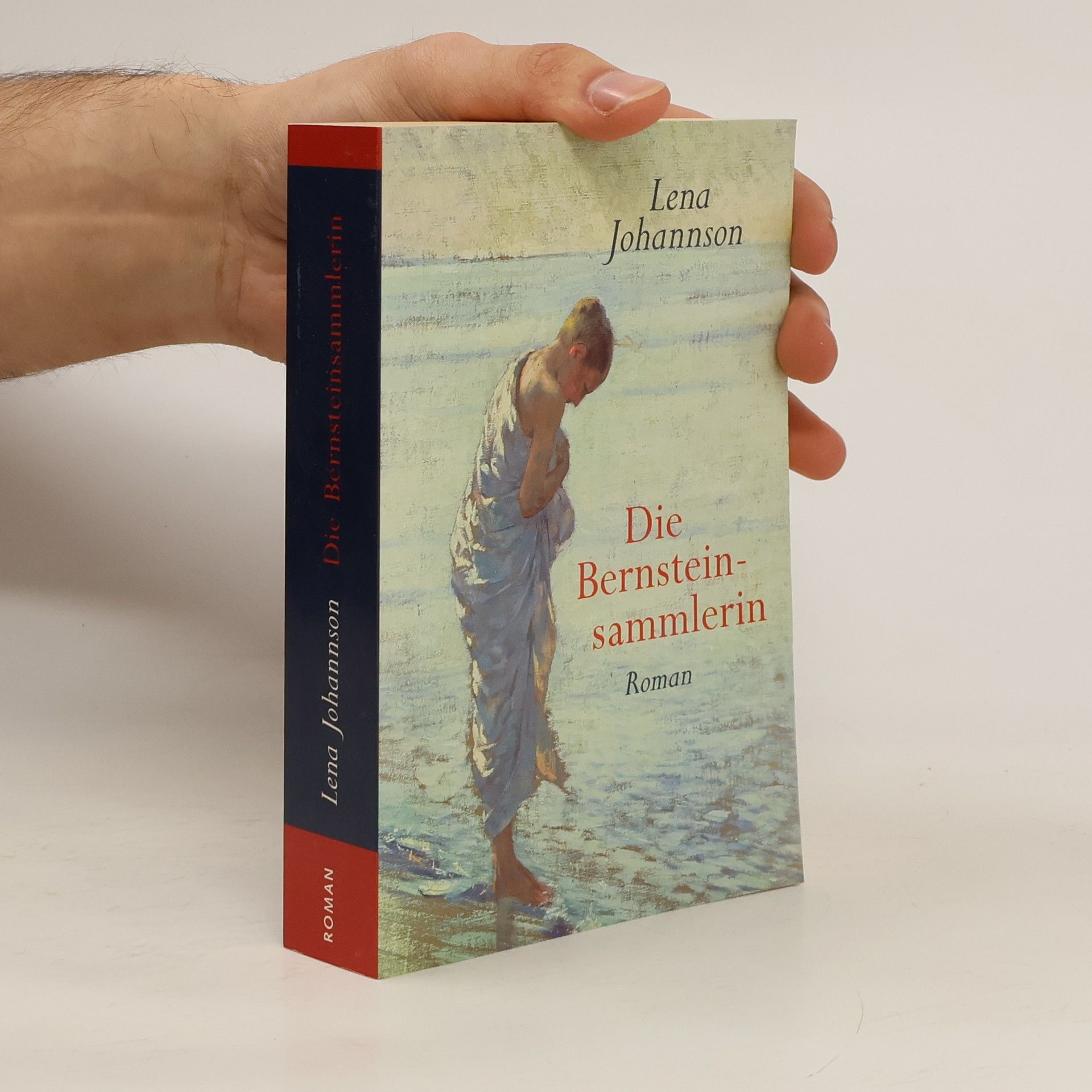 Lena Johannson Die Bernsteinsammlerin