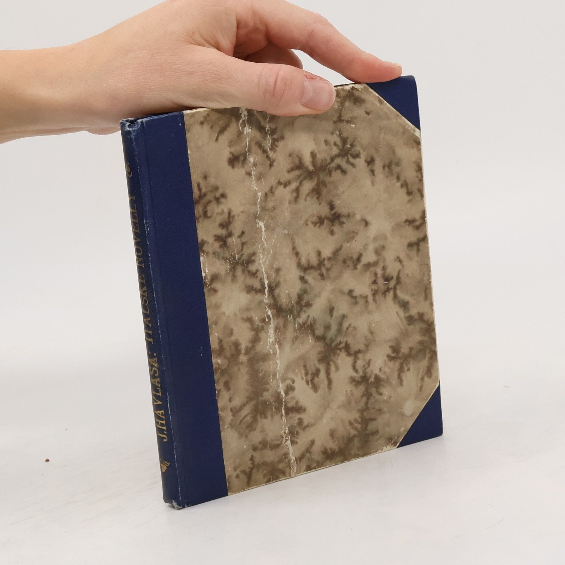 Jan Havlasa Z různých končin. Svazek IV. Italské novellety