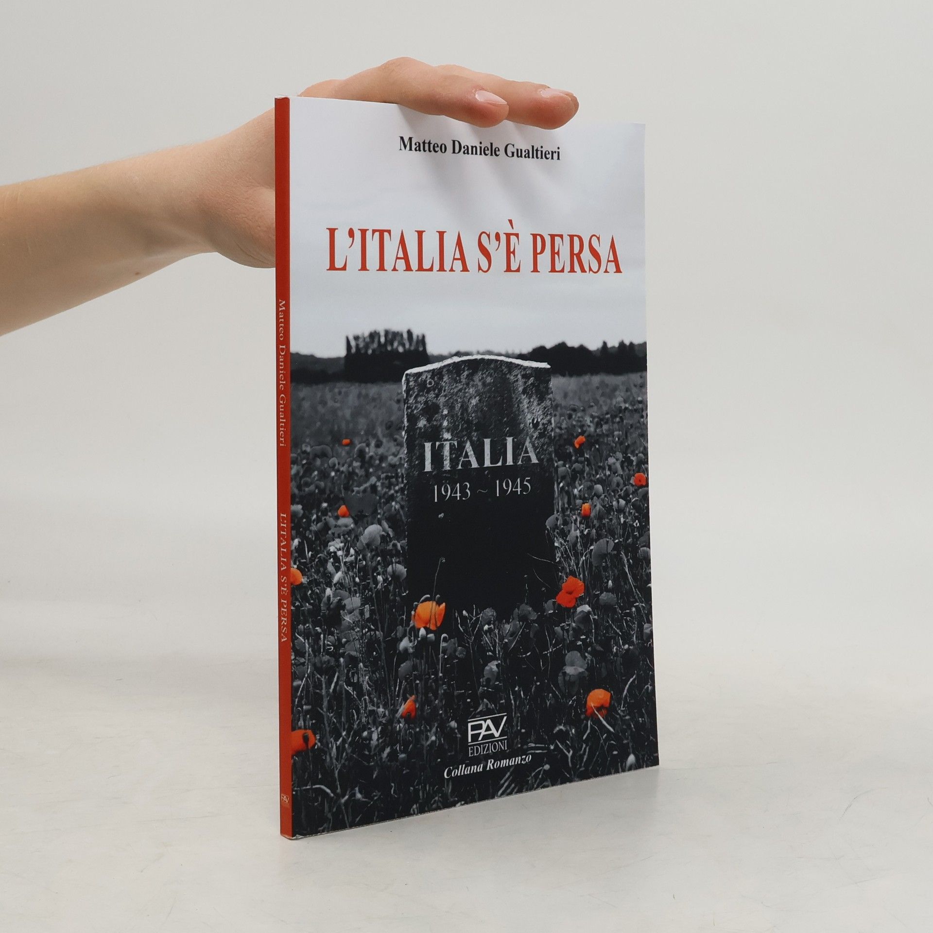 Matteo Daniele Gualtieri L’italia s’è persa