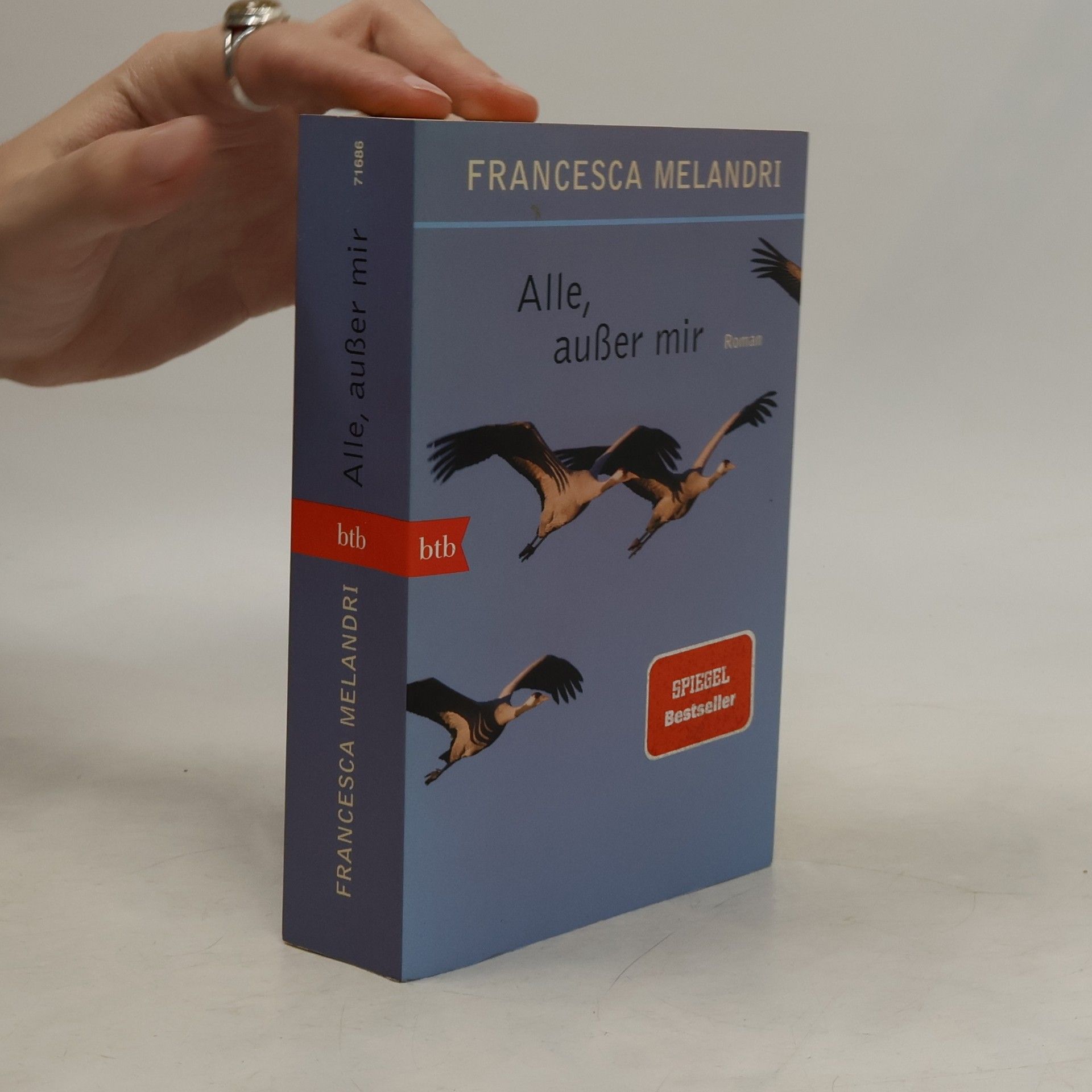 Francesca Melandri Alle, außer mir