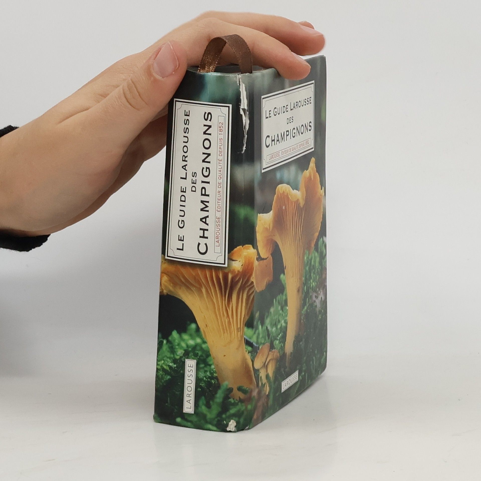 Various authors Le Guide Larousse des Champignons