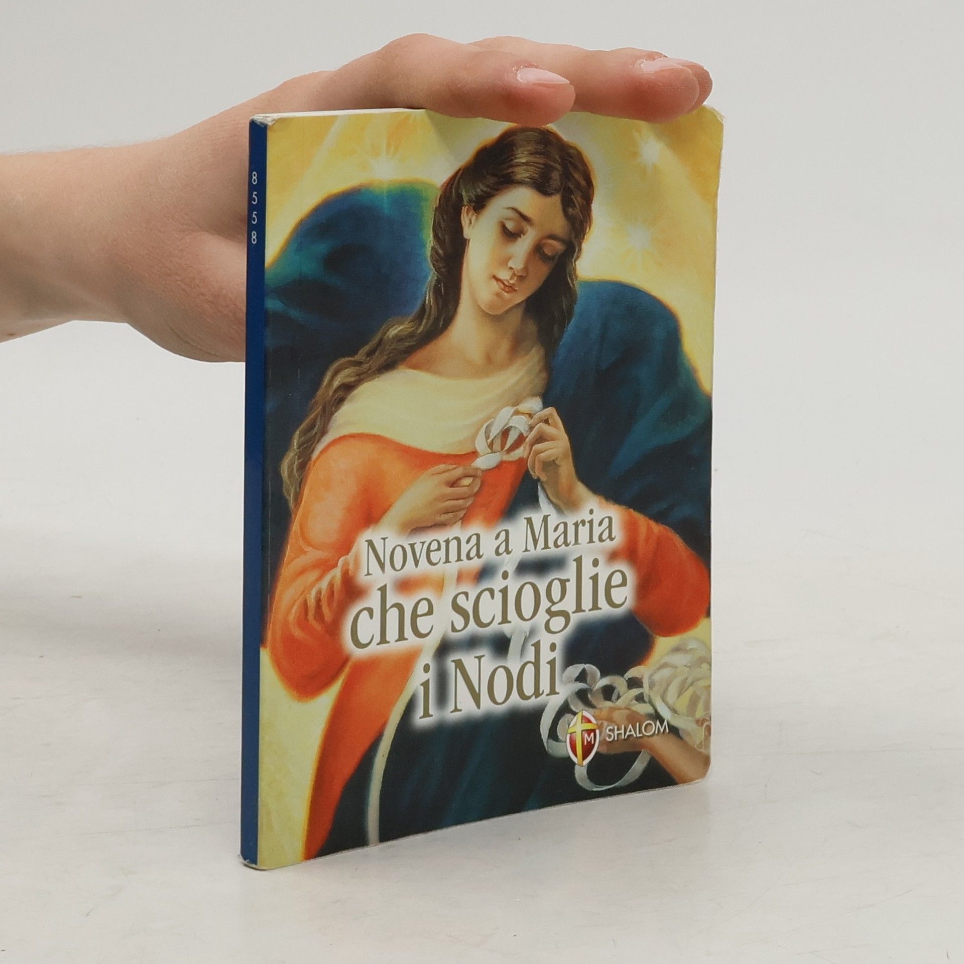 AA.VV. Novena a Maria che scioglie i nodi