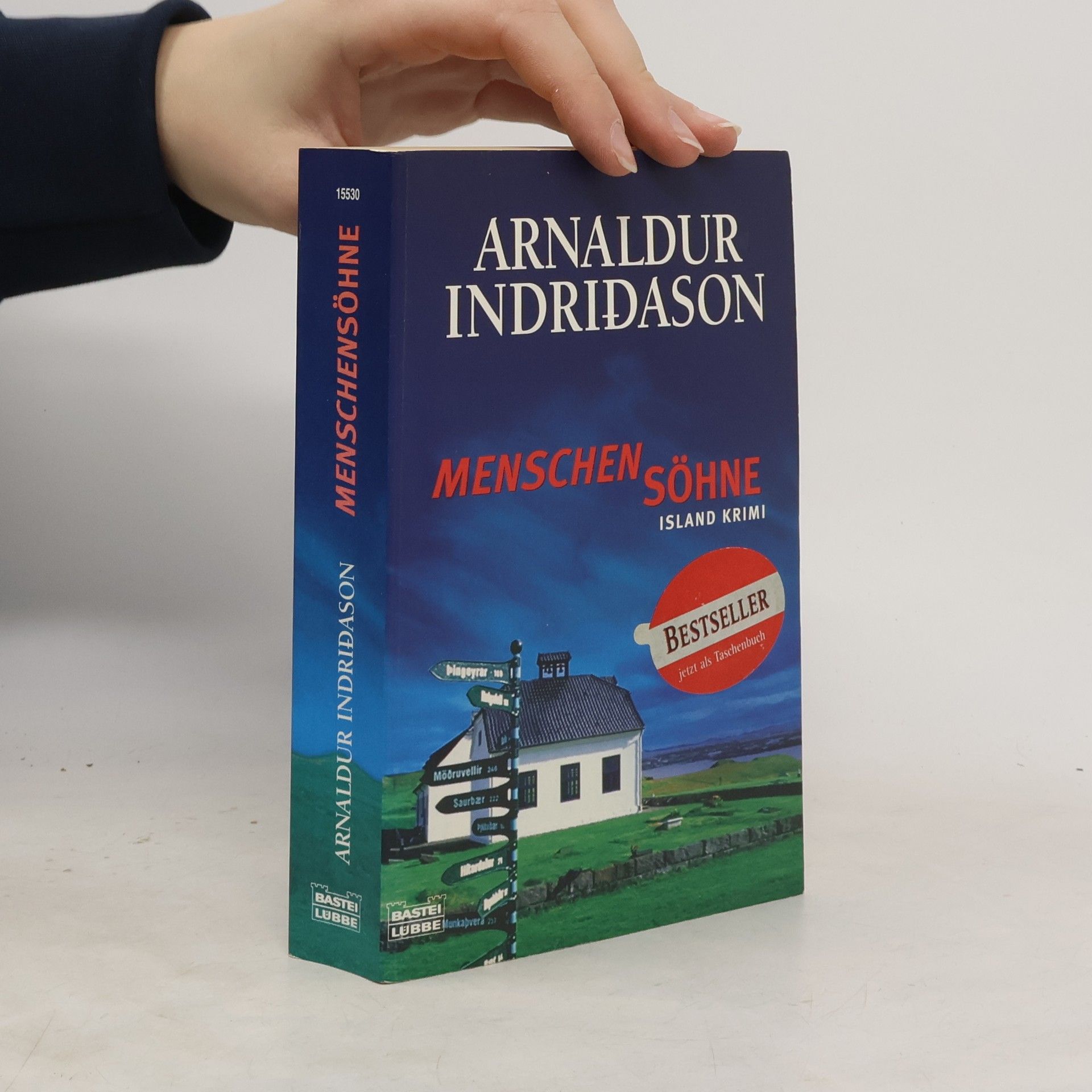 Arnaldur Indriðason Menschensöhne
